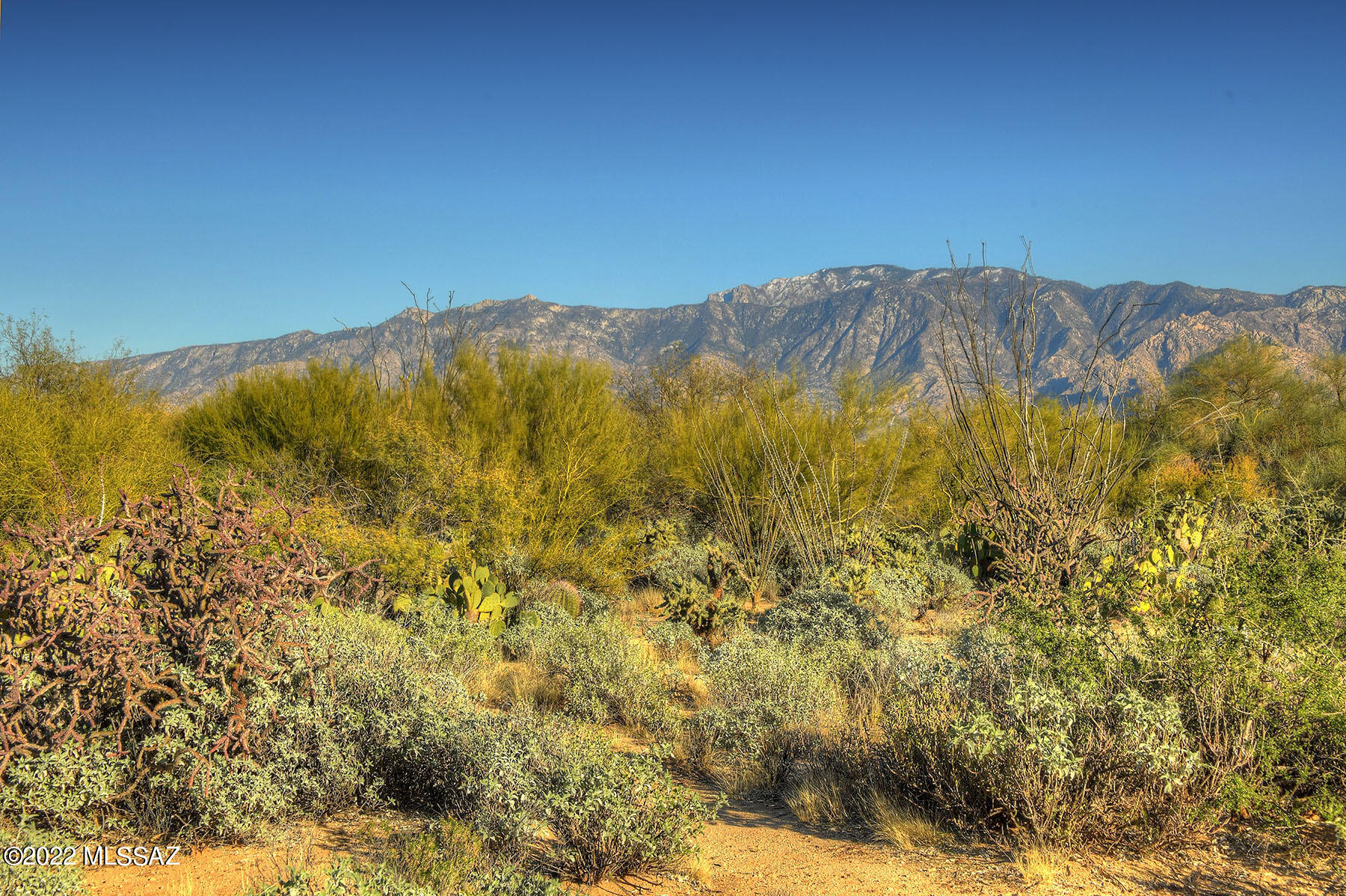 Stone Canyon I - Land