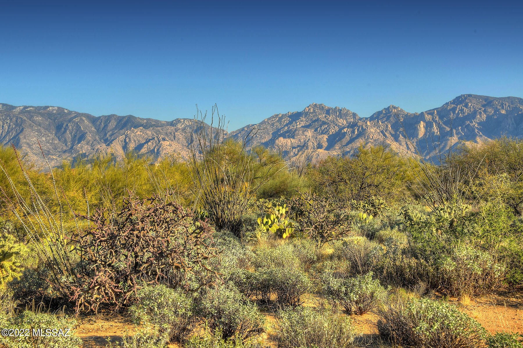 Stone Canyon I - Land