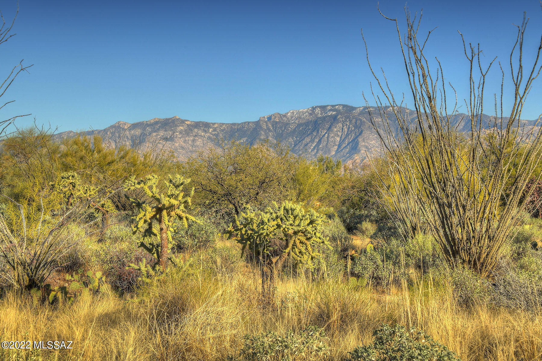 Stone Canyon I - Land