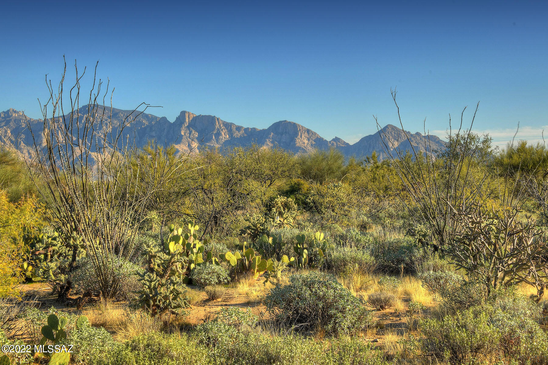 Stone Canyon I - Land