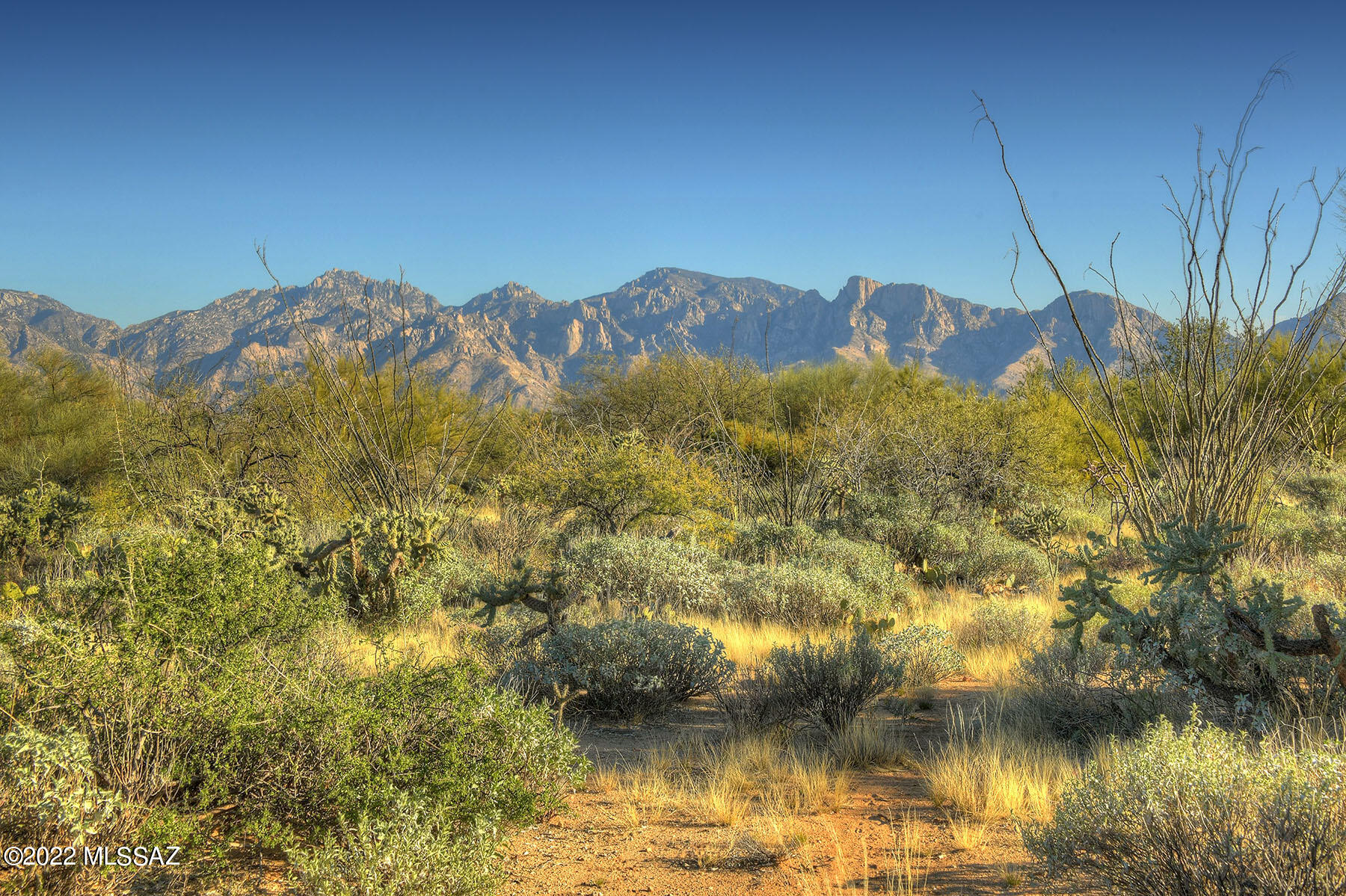 Stone Canyon I - Land