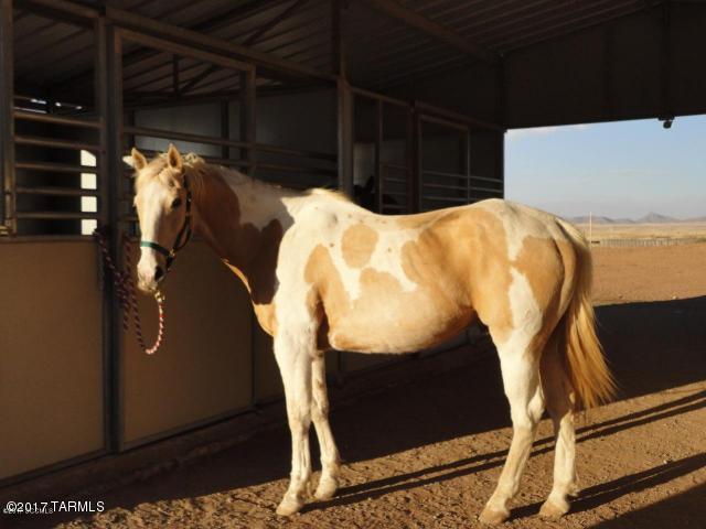Out Of Pima County - Residential