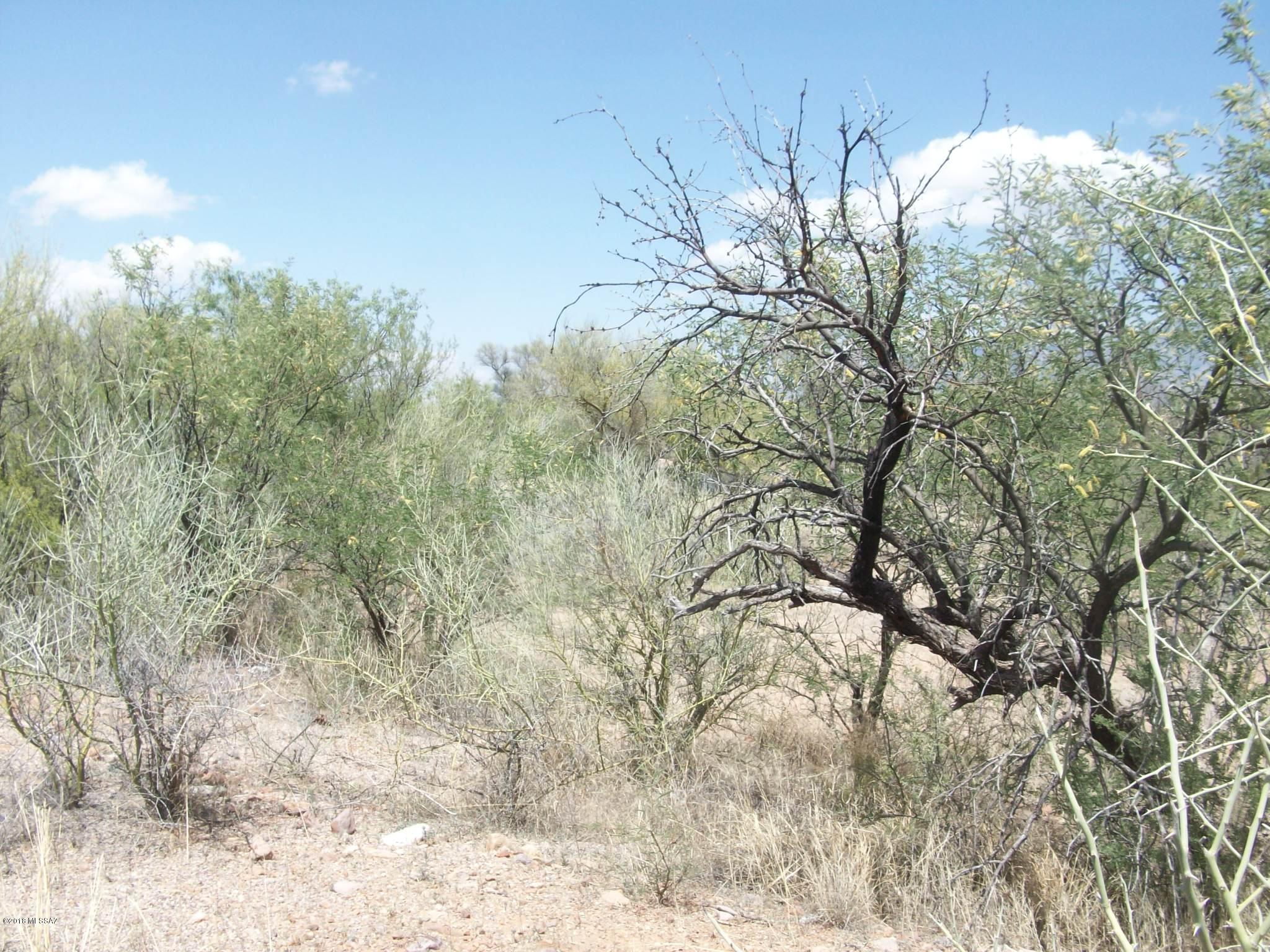 Tubac Valley Country Club Estates - Land