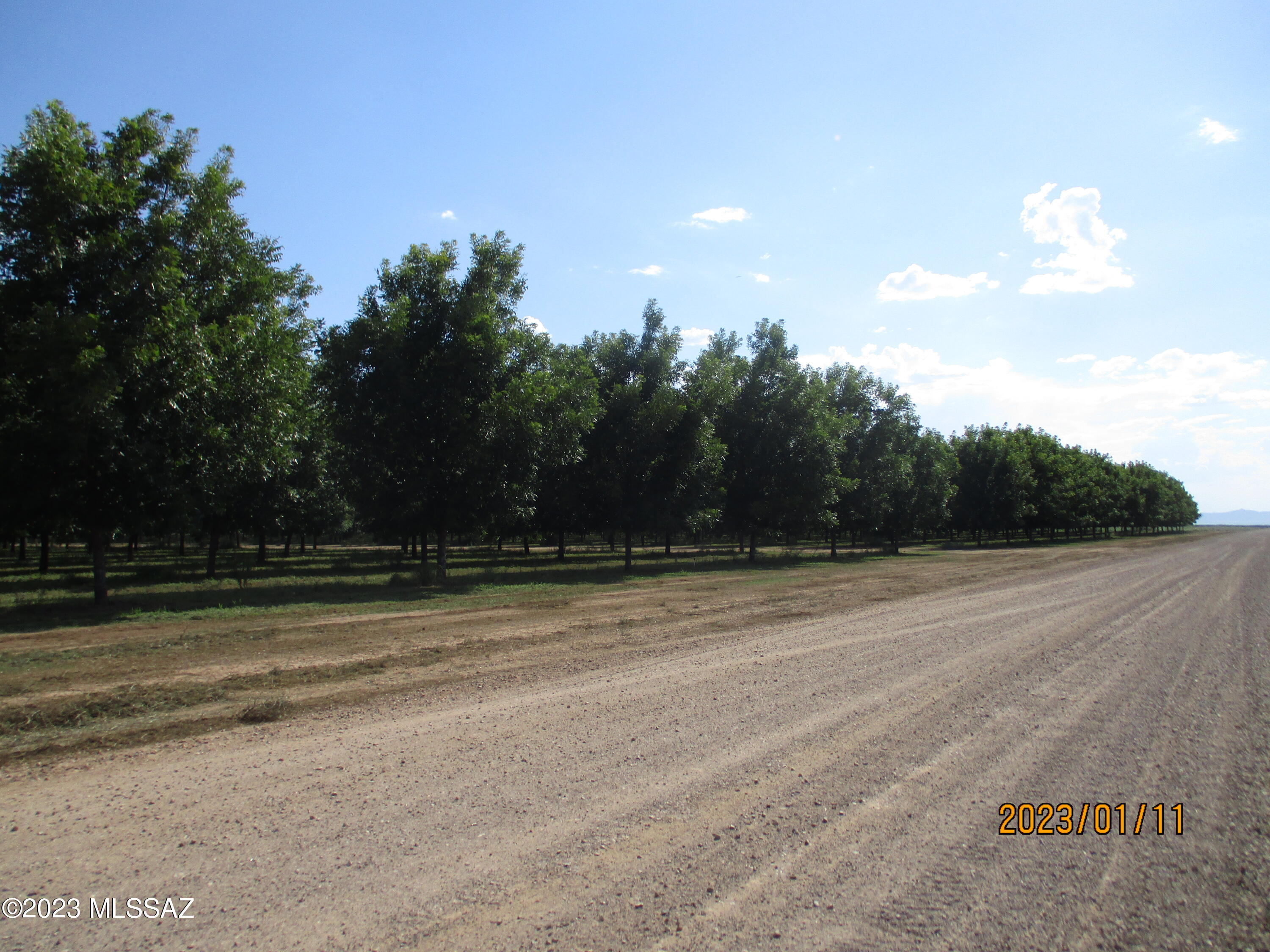 Out Of Pima County - Land