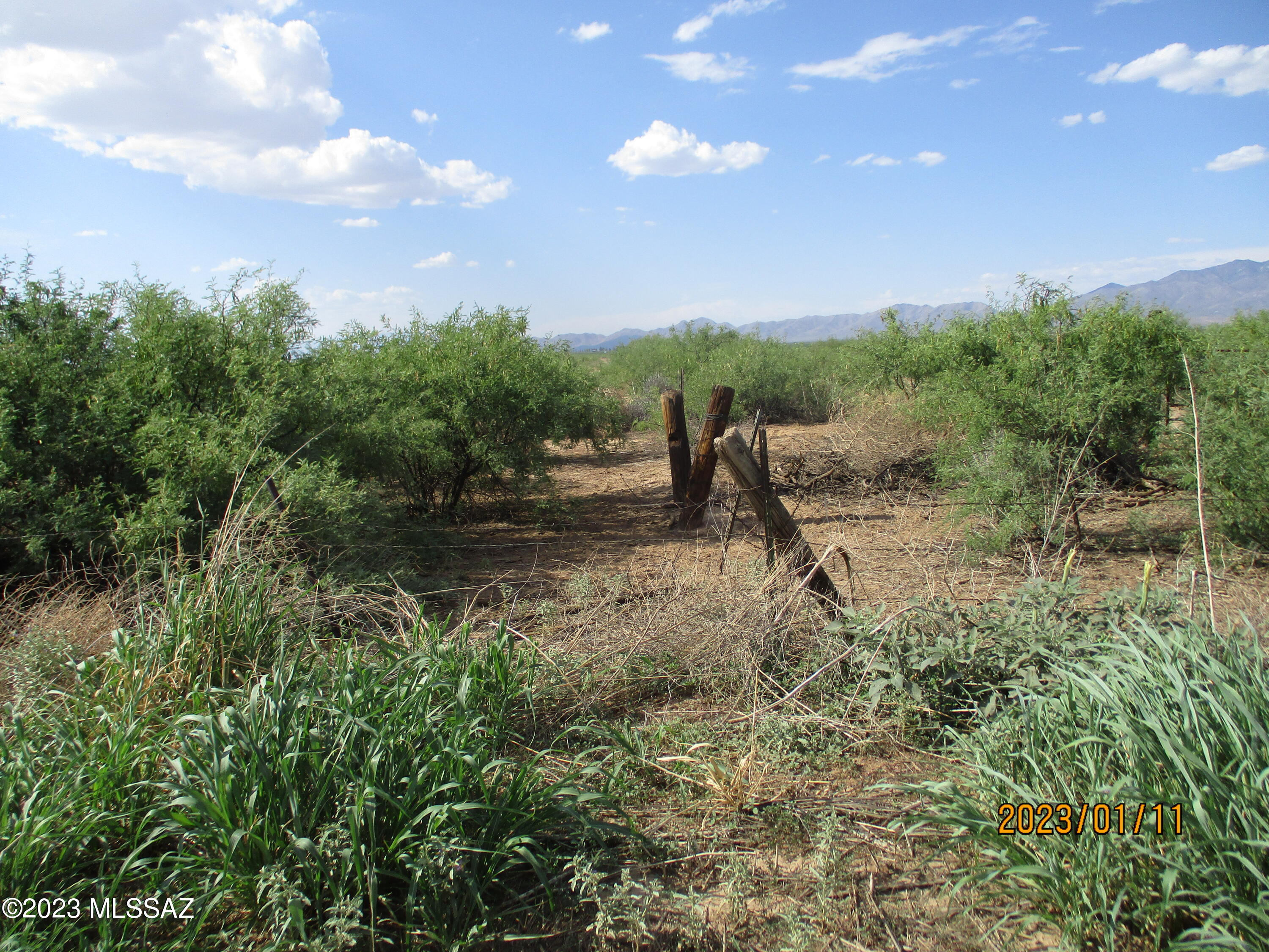 Out Of Pima County - Land