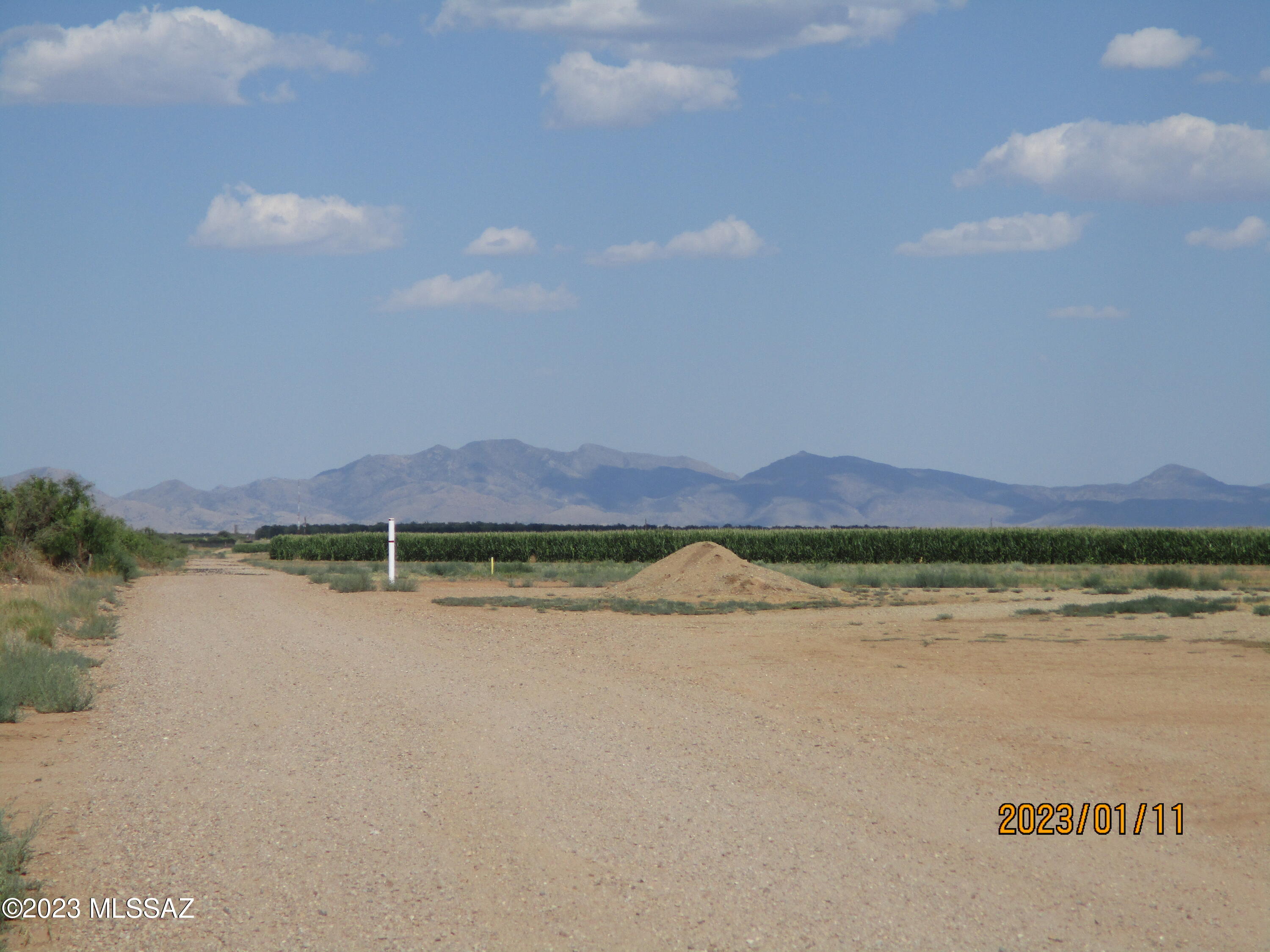 Out Of Pima County - Land