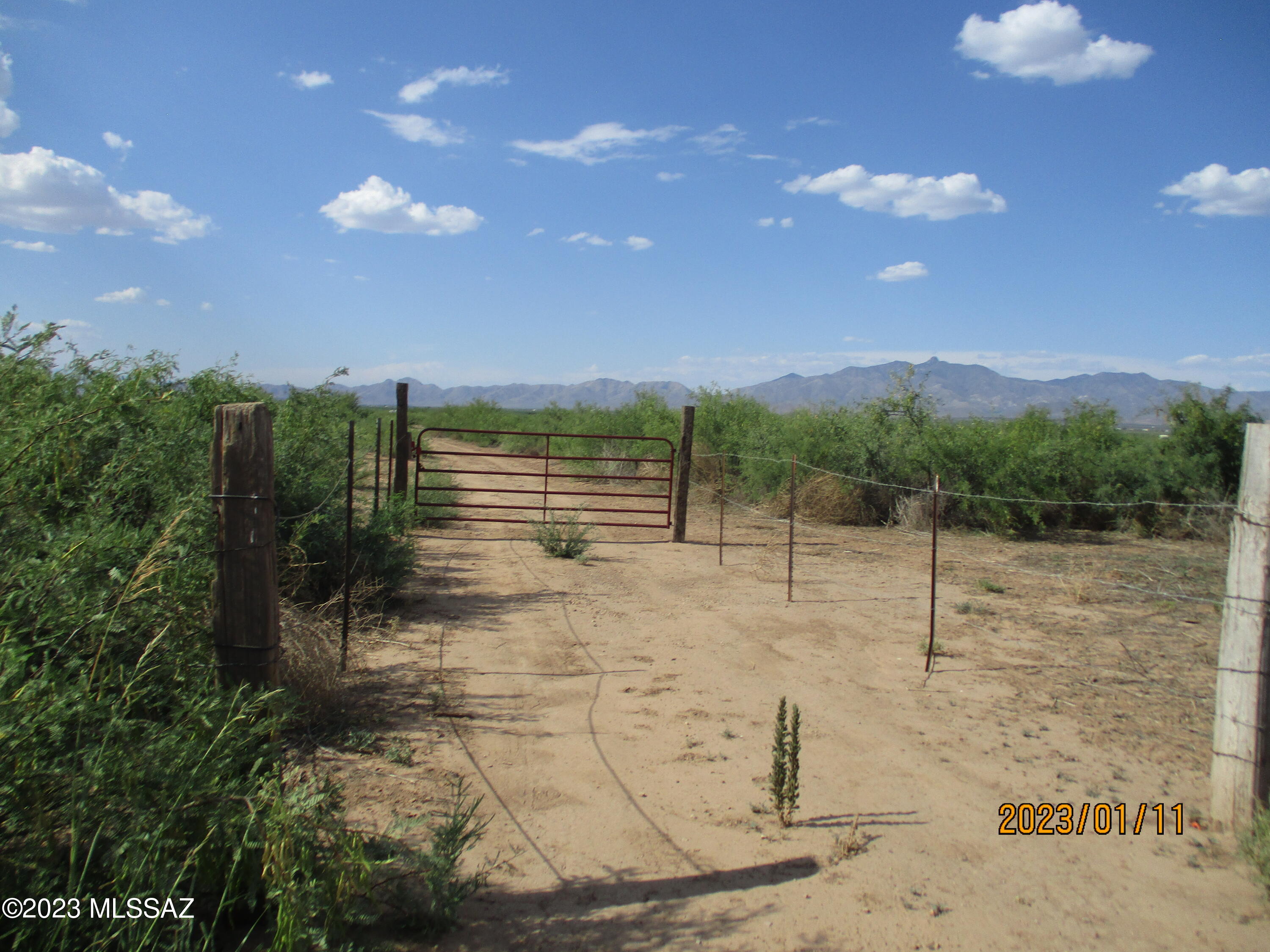 Out Of Pima County - Land