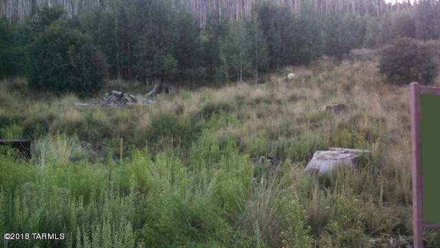 Incredible lot with great views and tons of Aspens. Lot has already been Topo'd (see attached survey map in documents tab).  Had a septic in the past but not since Aspen fire.  One of the best lots on Mt. Lemmon - GREAT almost FLAT building site! See attached survey to see all Carter Canyon lots Seller currently has for sale - Lots 3 (MLS# 21715745 )& 4 (MLS# 21715748). Listing agent related to seller.