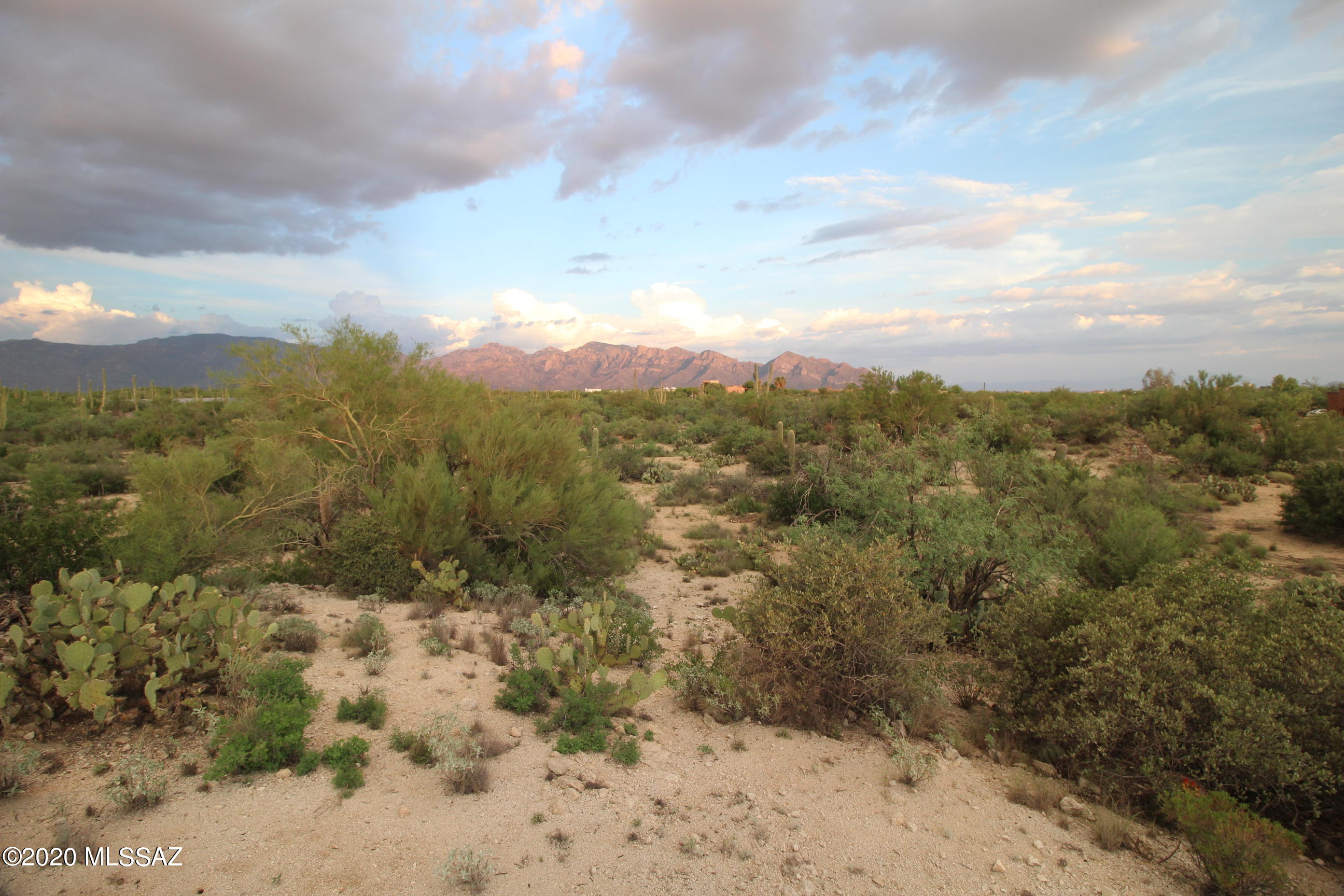 Build your dream home on this saguaro studded, 8.23 acre parcel. Enjoy the quiet serenity of the Tortolita foothills while being close to the convenience of town. The parcel has pavement access along its west border and is bordered by wire fencing on the north and east and a driveway to the south. This parcel has RH zoning which allows for some commercial uses. Buyer to confirm zoning requirements with intended use.