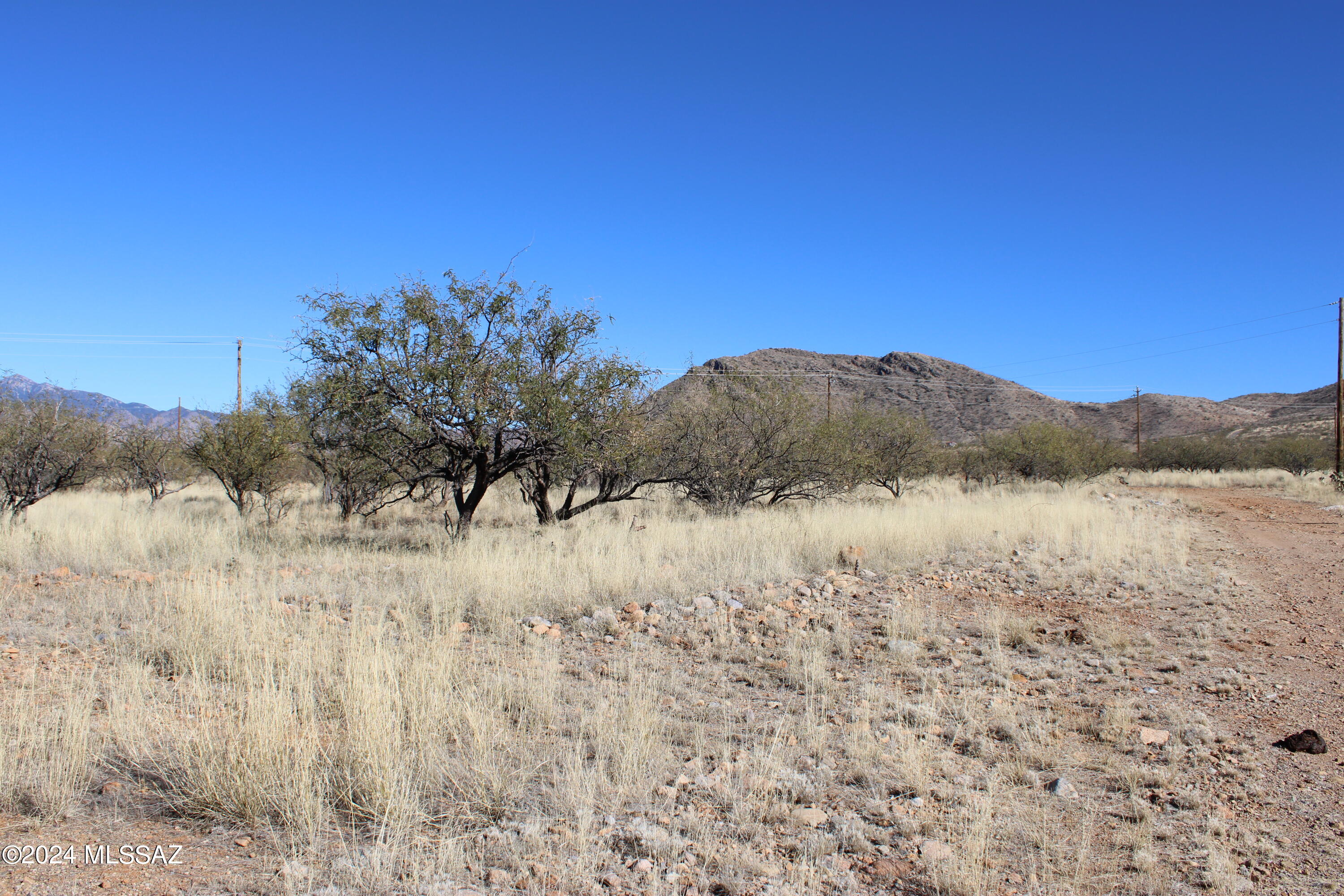 Rio Rico Ranchettes 18 - Land