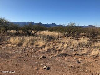 Rio Rico Ranchettes 18 - Land