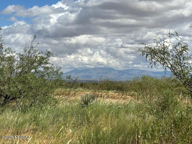 Two nice lots with good access and no neighbors near by. 1.65 Acres. Enjoy the Pearce and Quiet of the High Desert. Beautiful trees and native plants. Love grass blowing in the breeze.  Great Mountain and Panoramic Views. Off Central Rd which is County maintained. Fiber optic internet available in this area. Build your dream home on this beautiful piece of land. includes 2 parcels 115-12-029 and 115-12-030