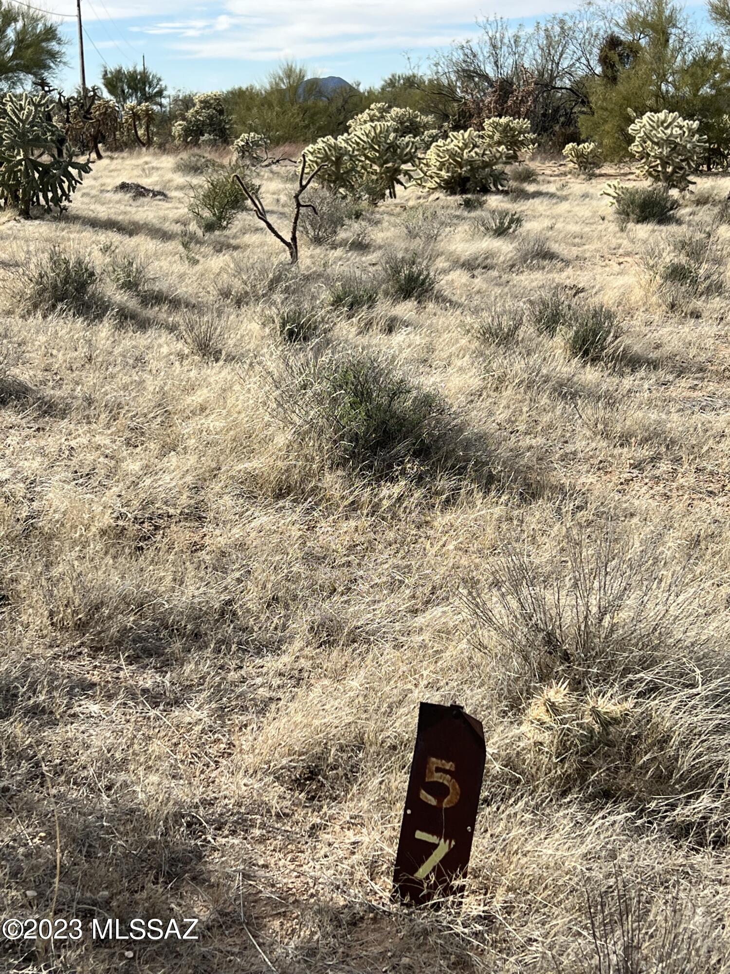 Diamond Bell Ranch - Tucson (1-229) - Land