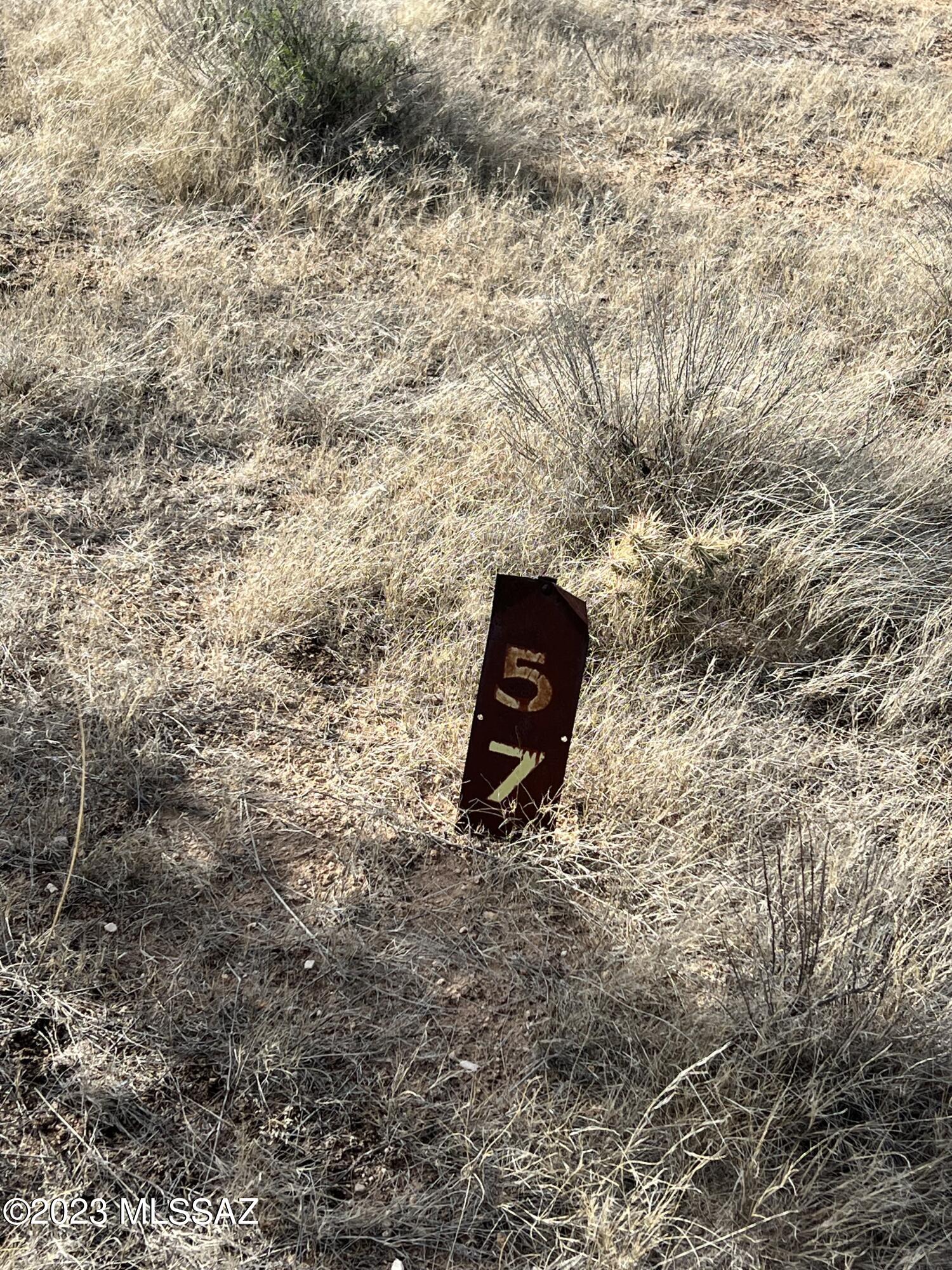 Diamond Bell Ranch - Tucson (1-229) - Land