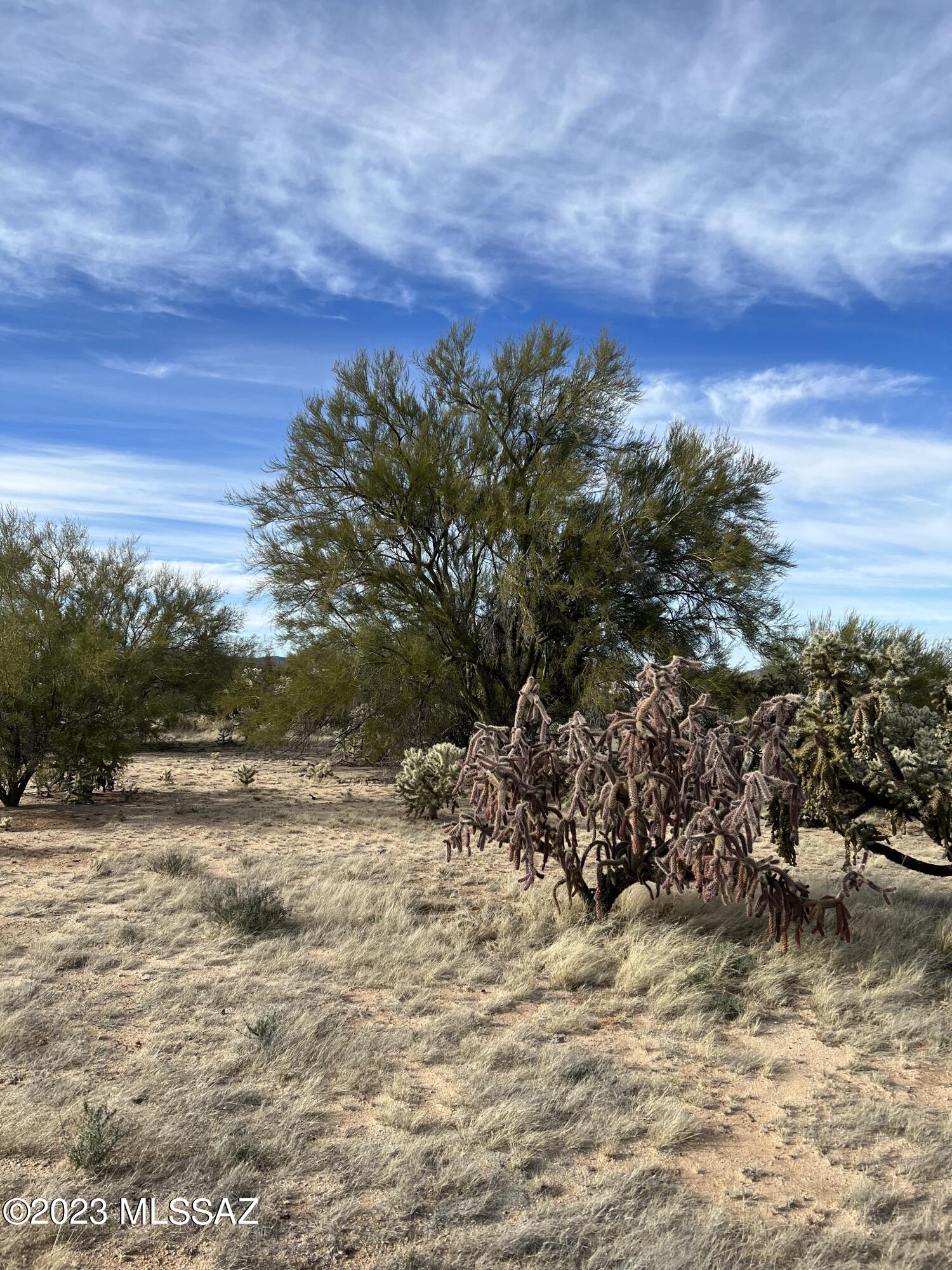 Diamond Bell Ranch - Tucson (1-229) - Land