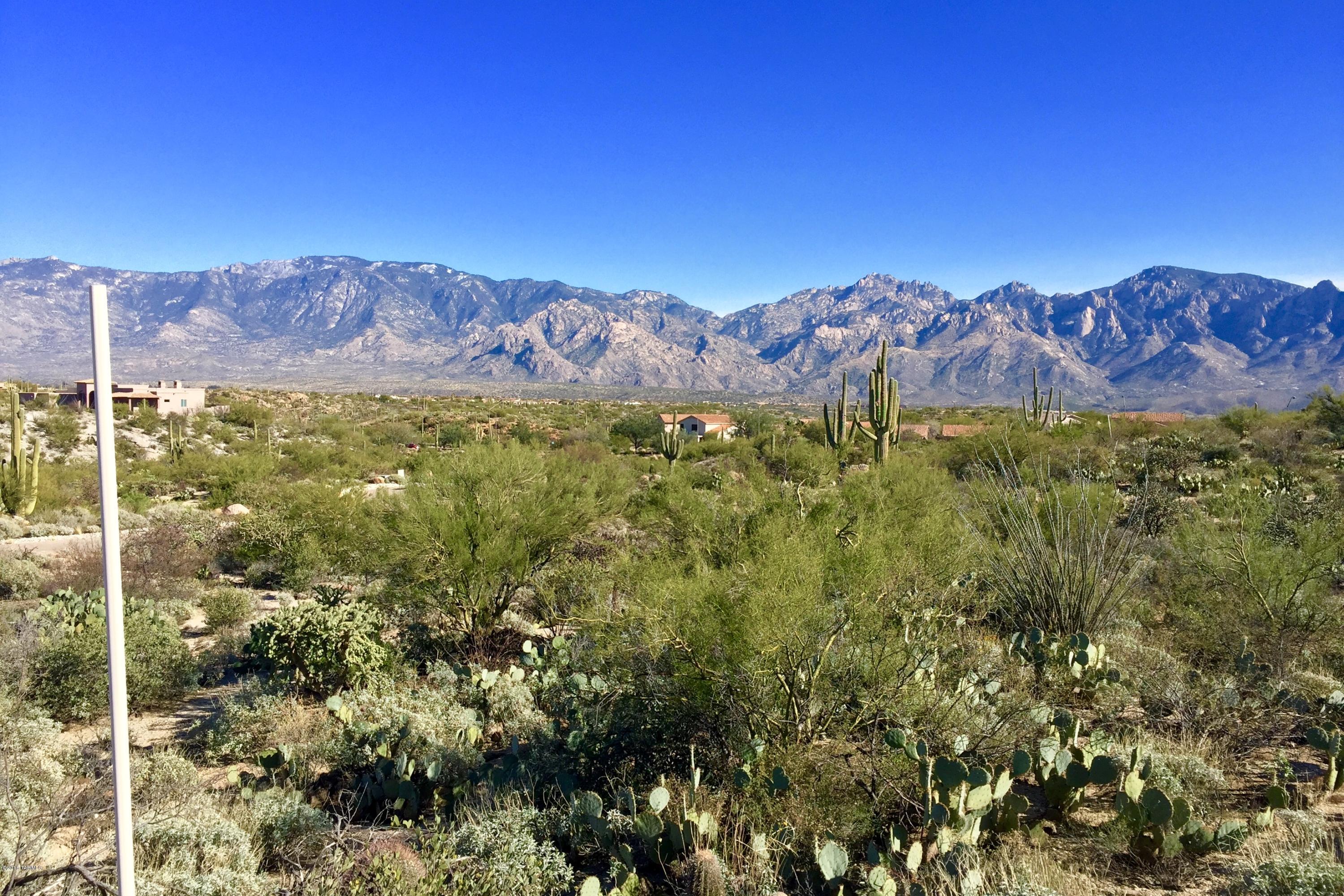Stone Canyon VI - Land