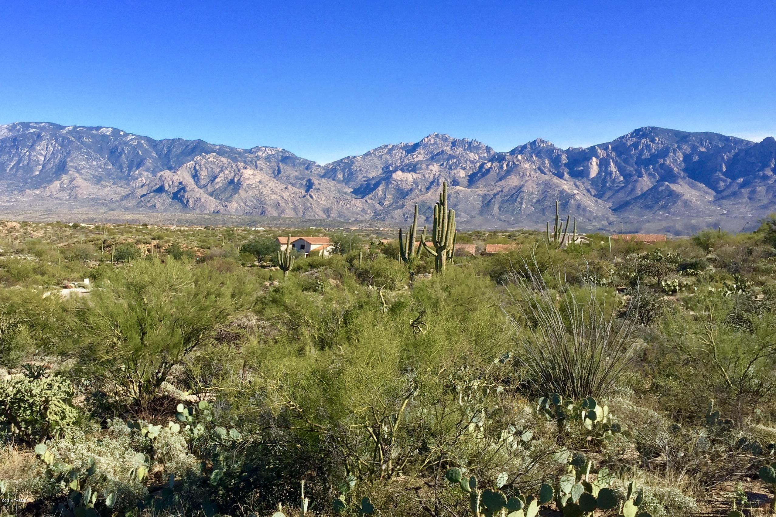 Stone Canyon VI - Land