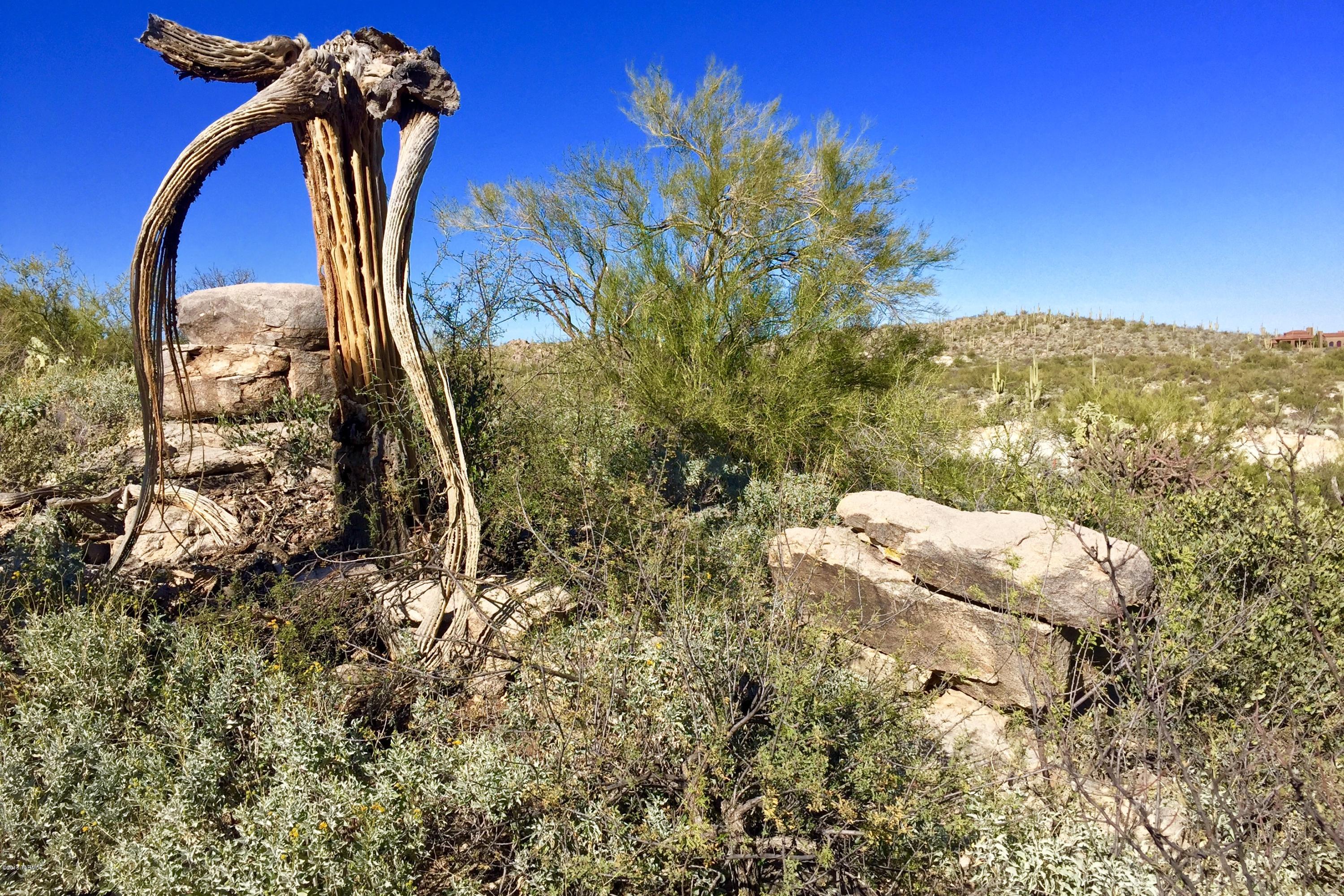 Stone Canyon VI - Land