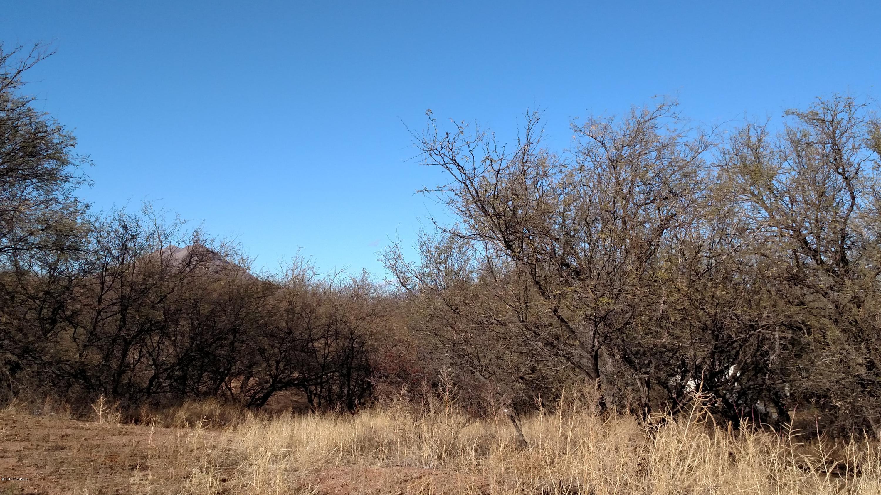 Rio Rico Estates 11 - Land
