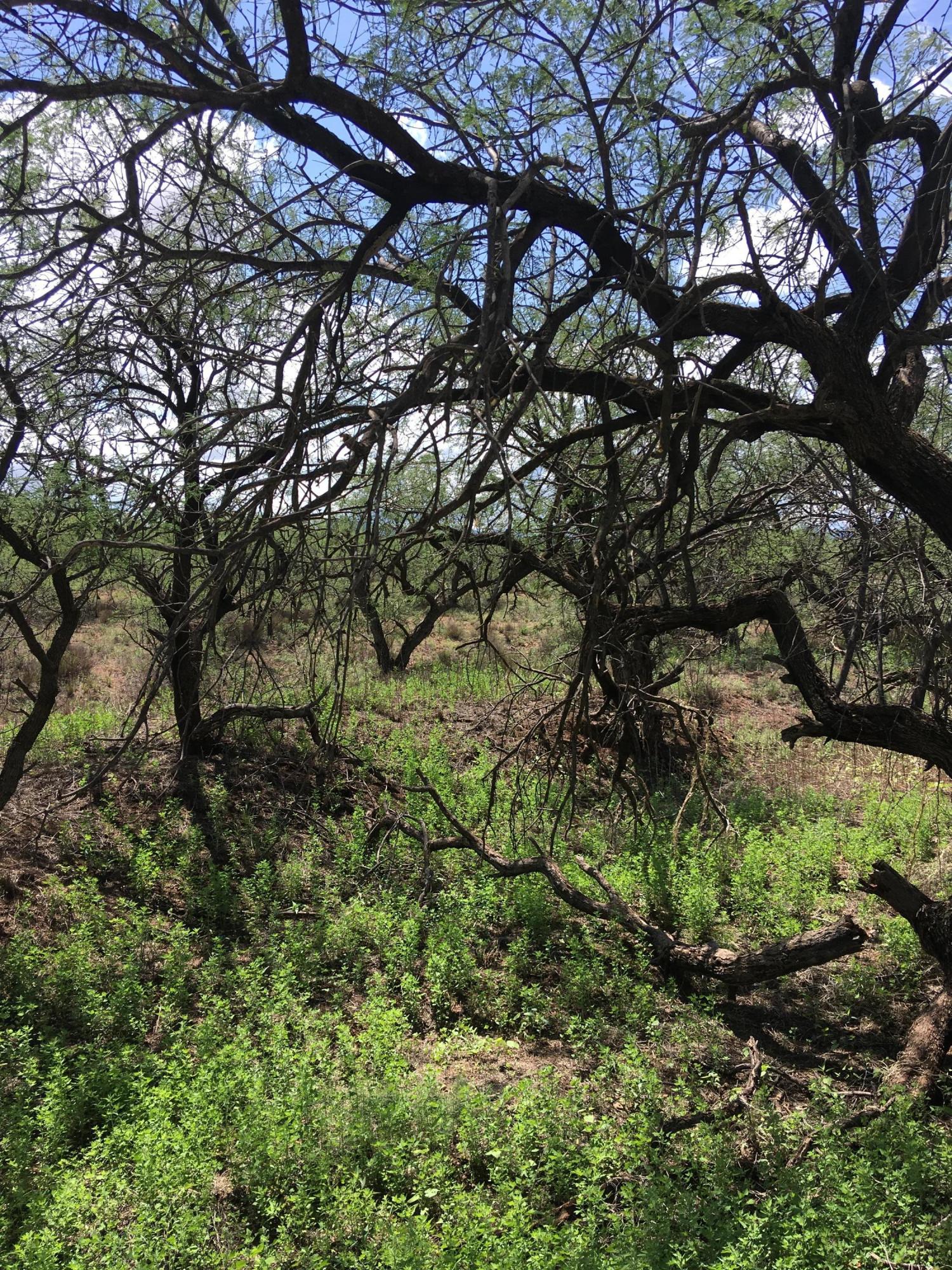 Arivaca Lake Est - Land