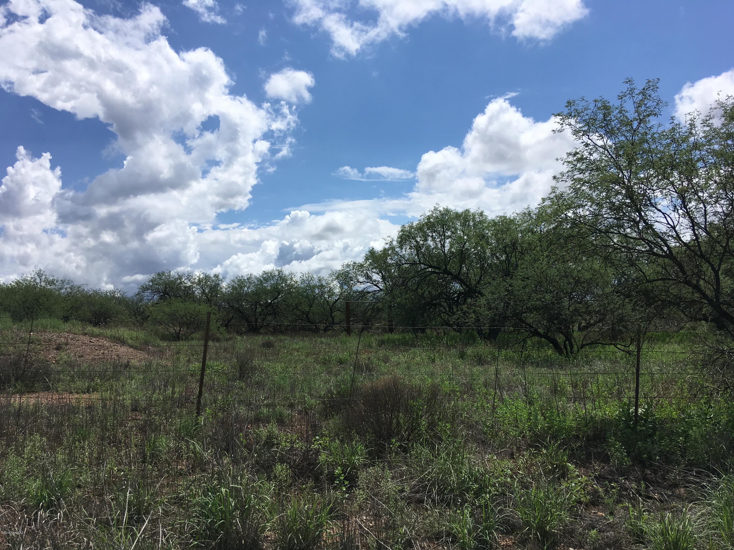 Arivaca Lake Est - Land