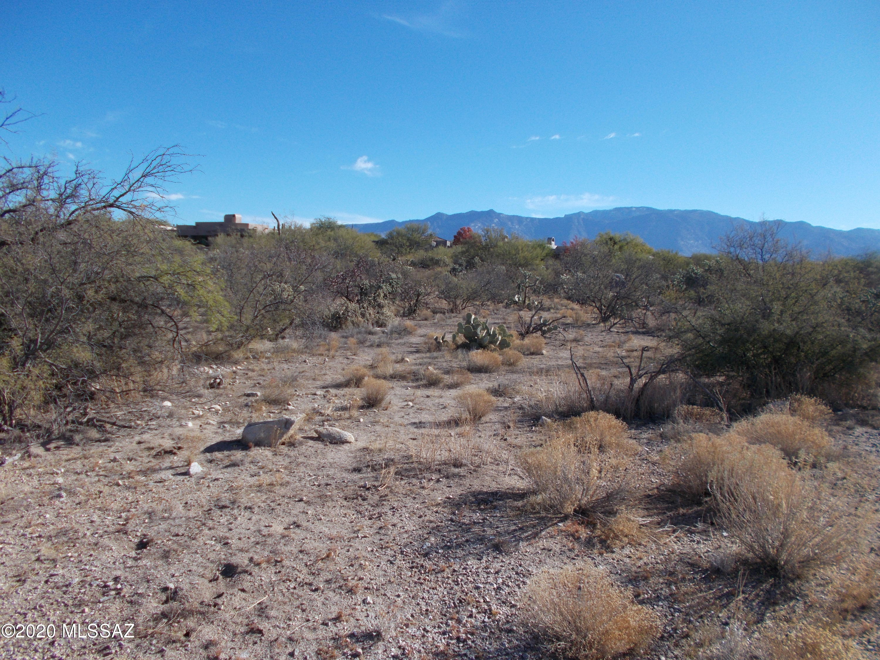 Honey Bee Ridge(The Estates At) - Land
