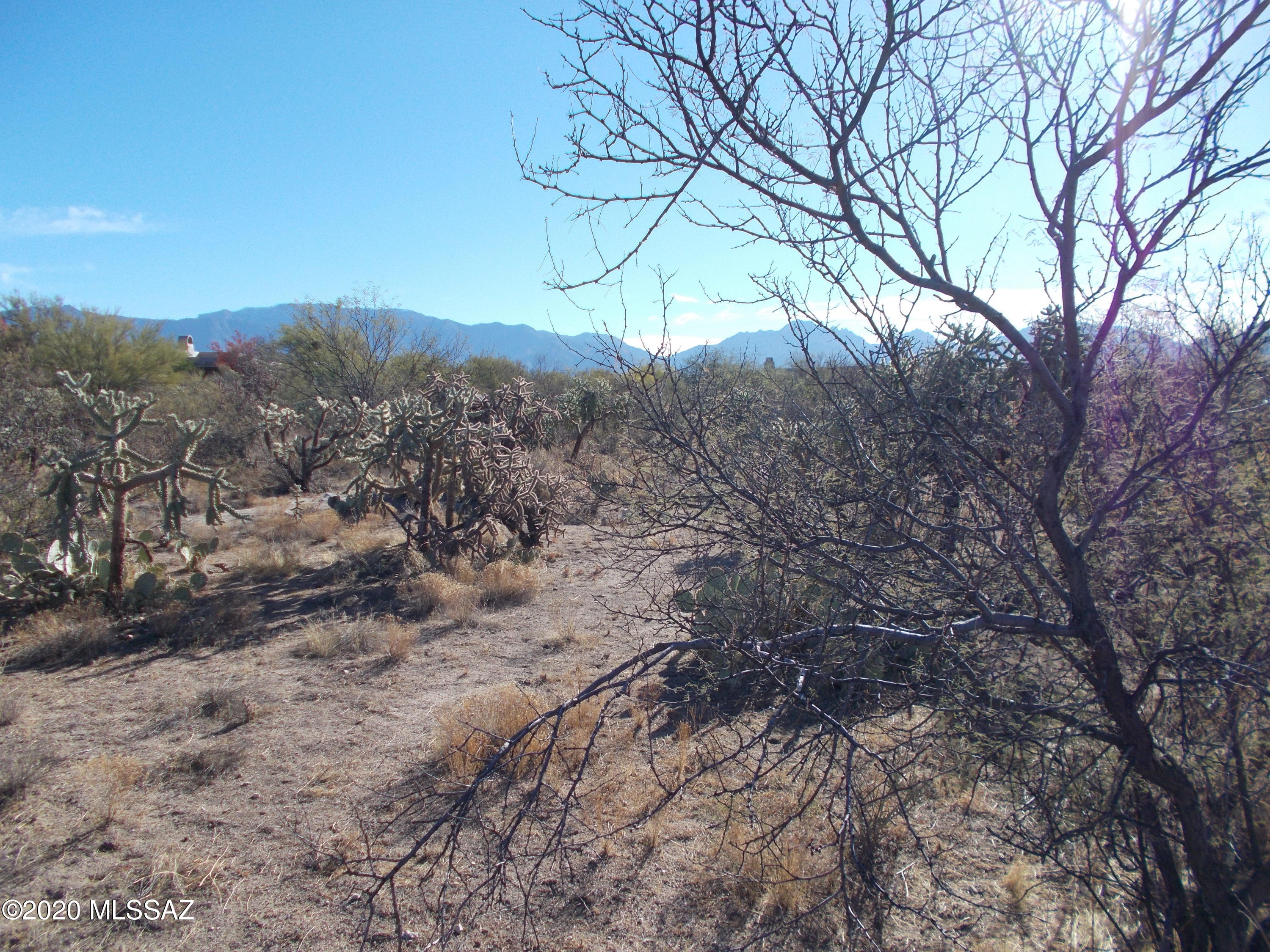 Honey Bee Ridge(The Estates At) - Land