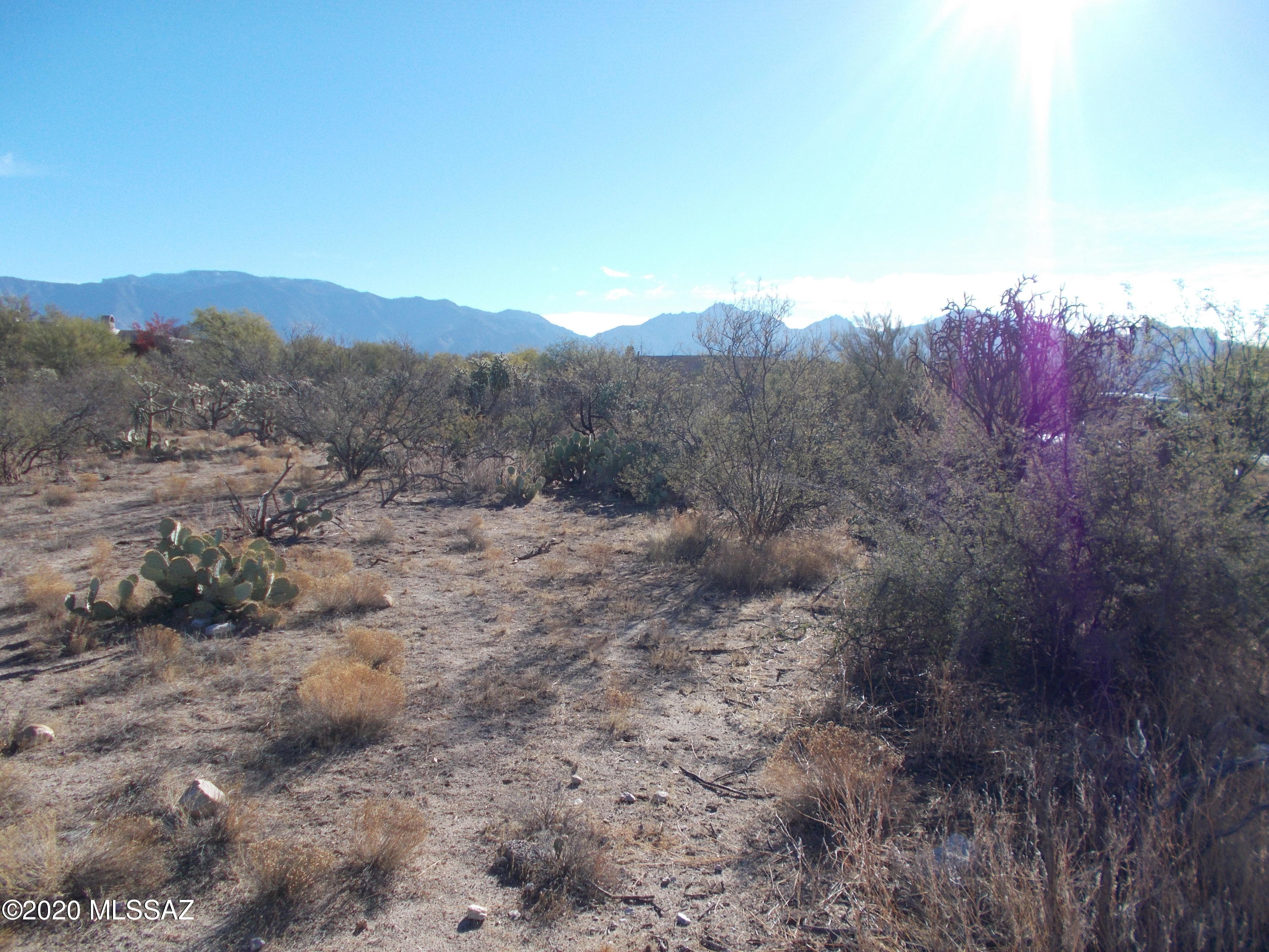 Honey Bee Ridge(The Estates At) - Land