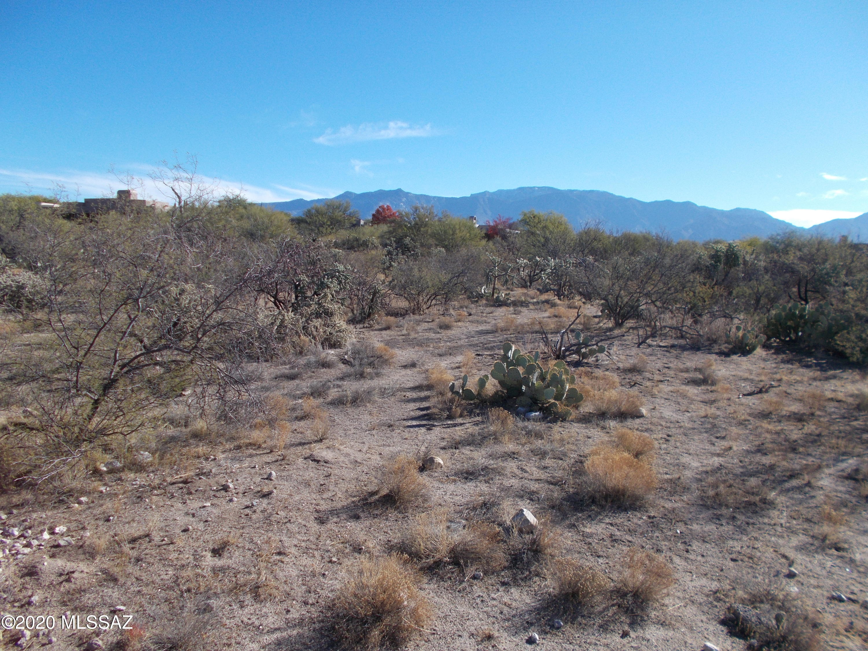 Honey Bee Ridge(The Estates At) - Land