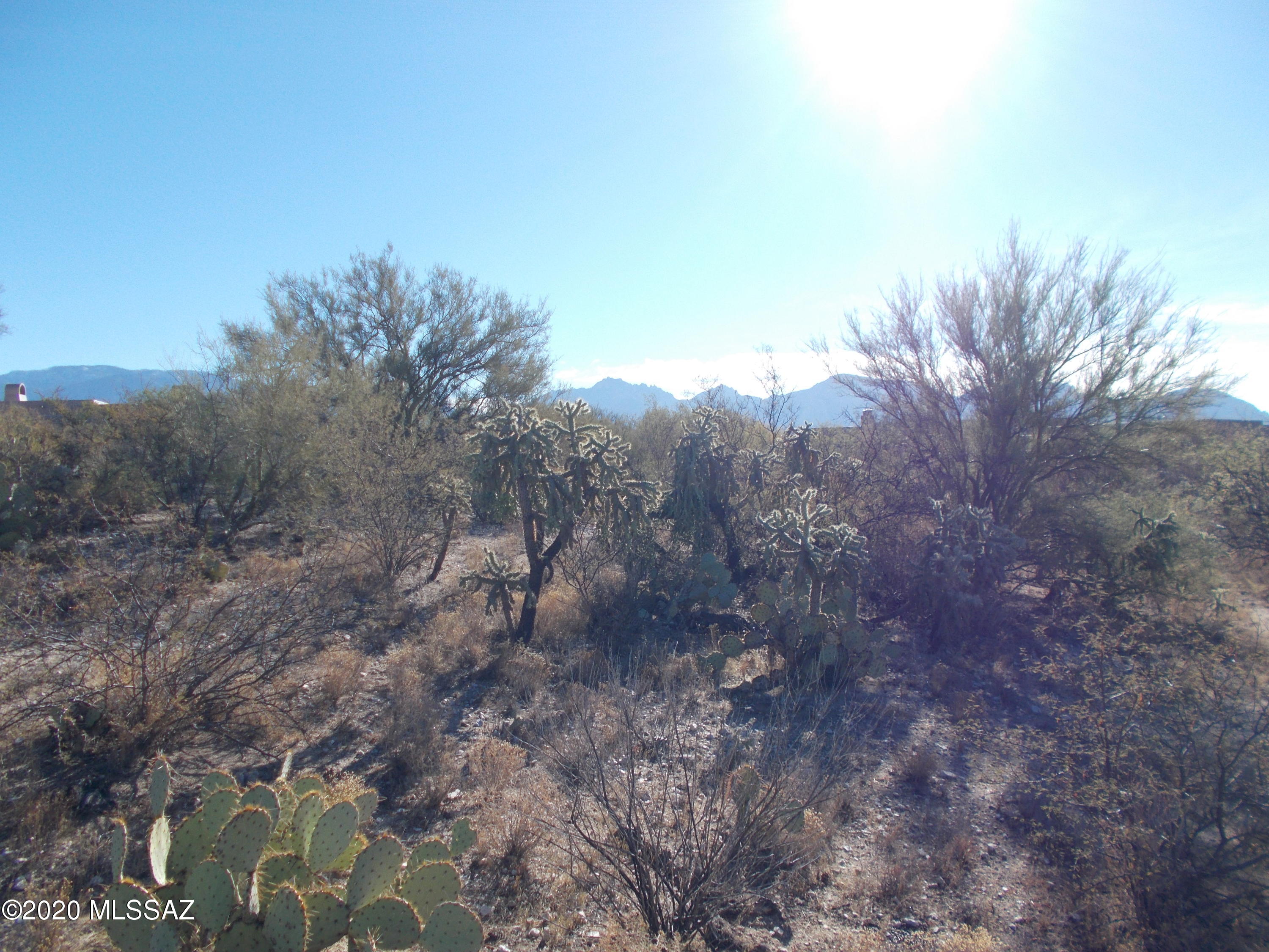 Honey Bee Ridge(The Estates At) - Land