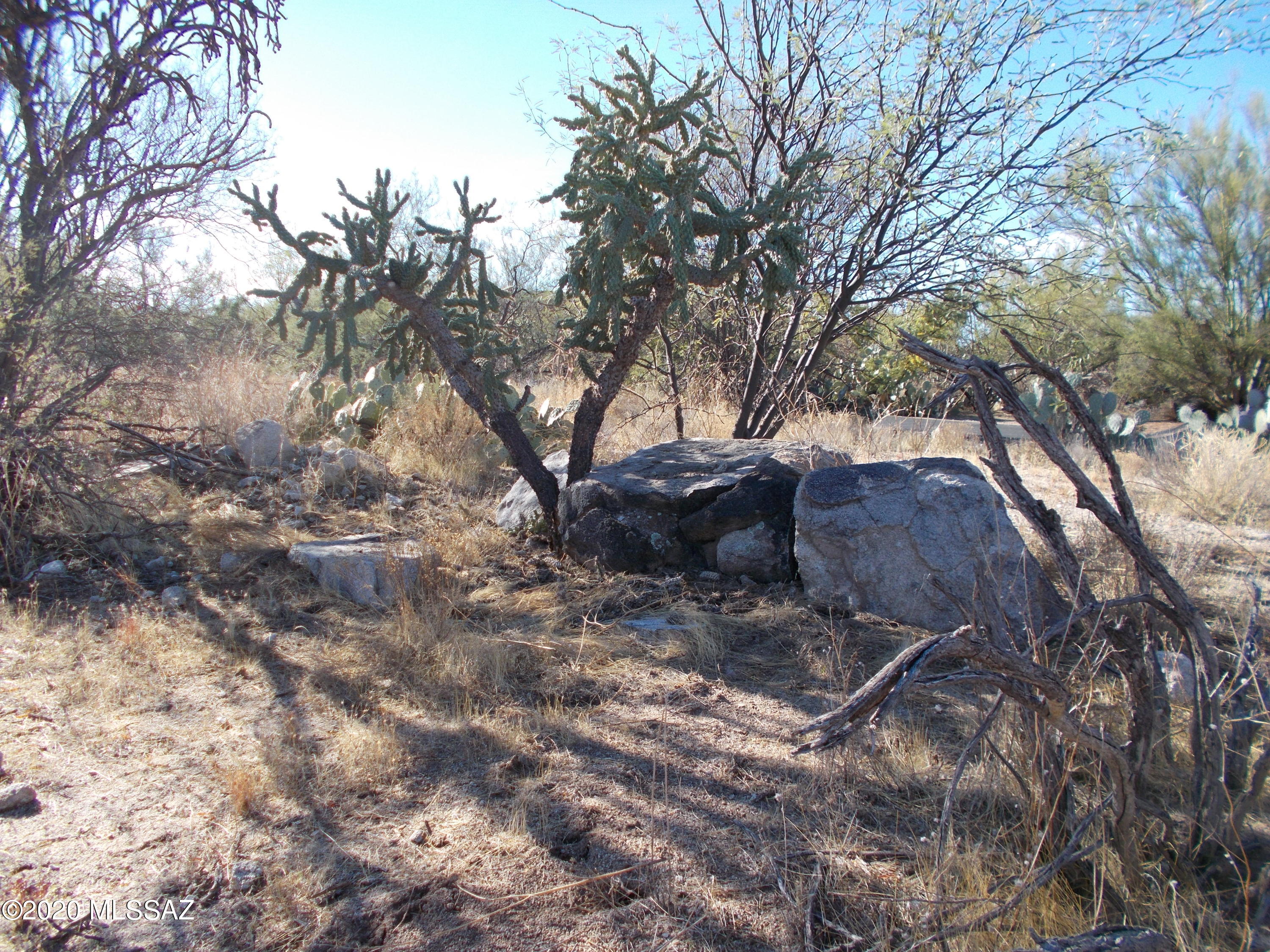 Honey Bee Ridge(The Estates At) - Land