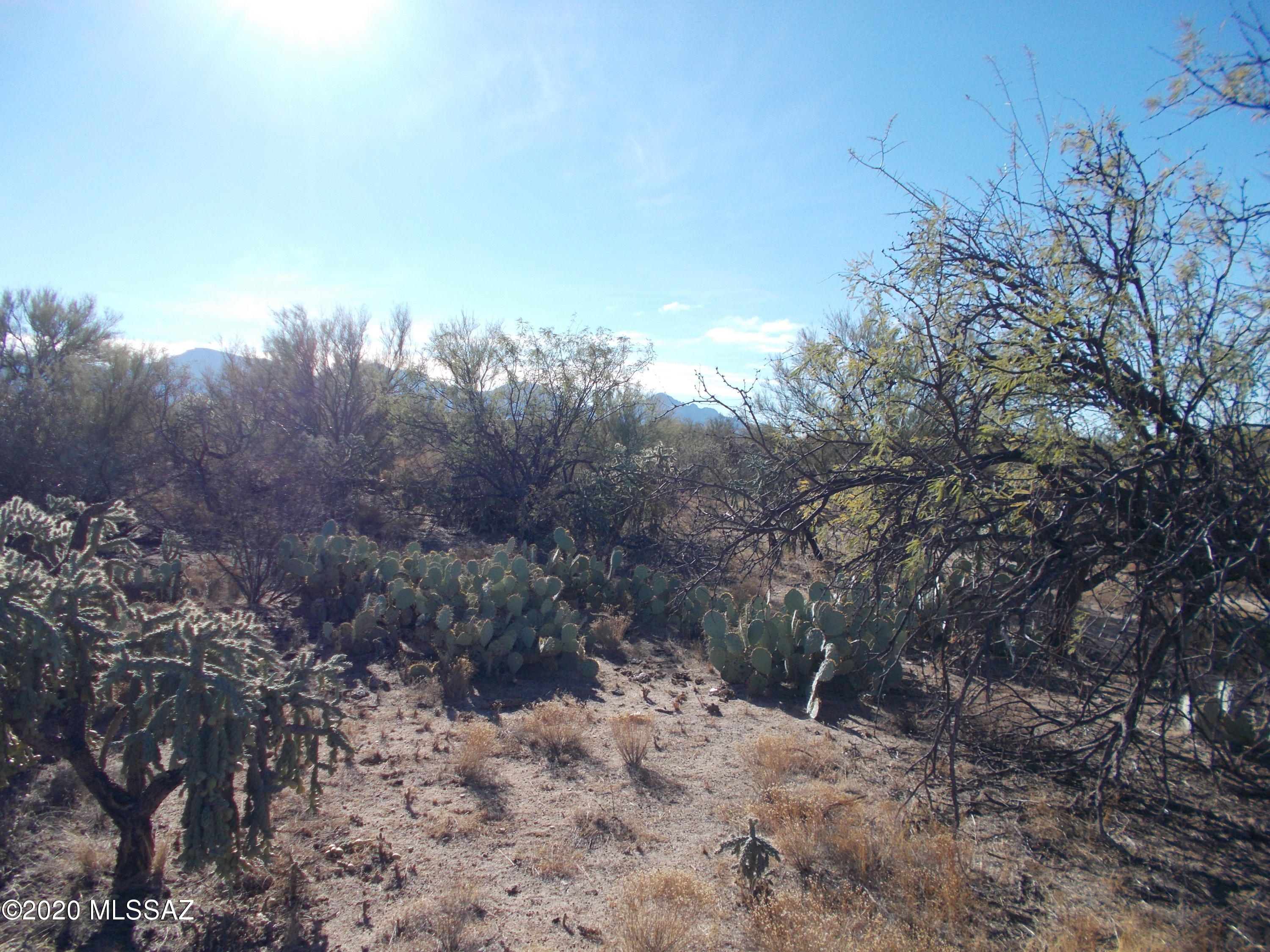 Honey Bee Ridge(The Estates At) - Land