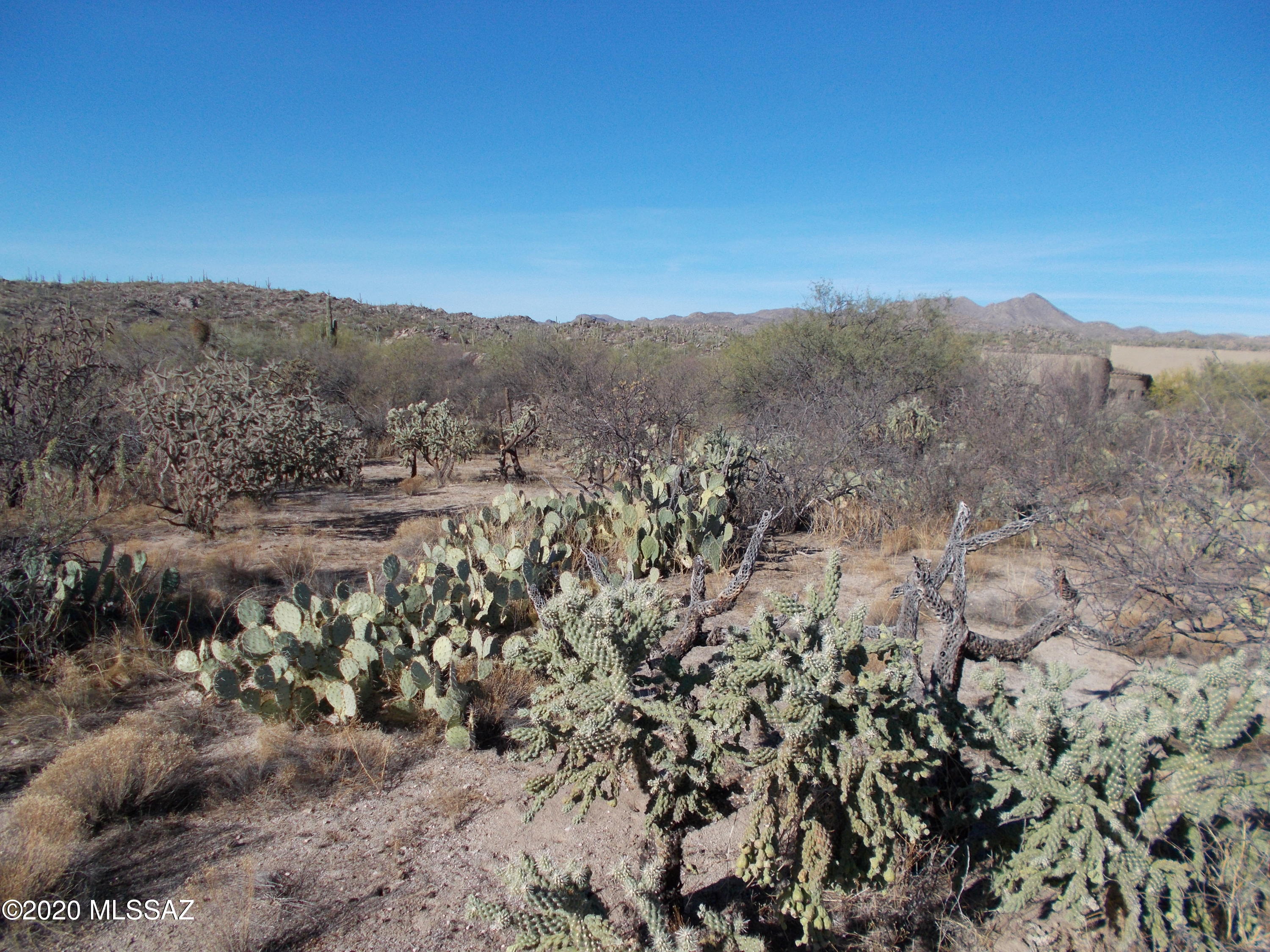 Honey Bee Ridge(The Estates At) - Land