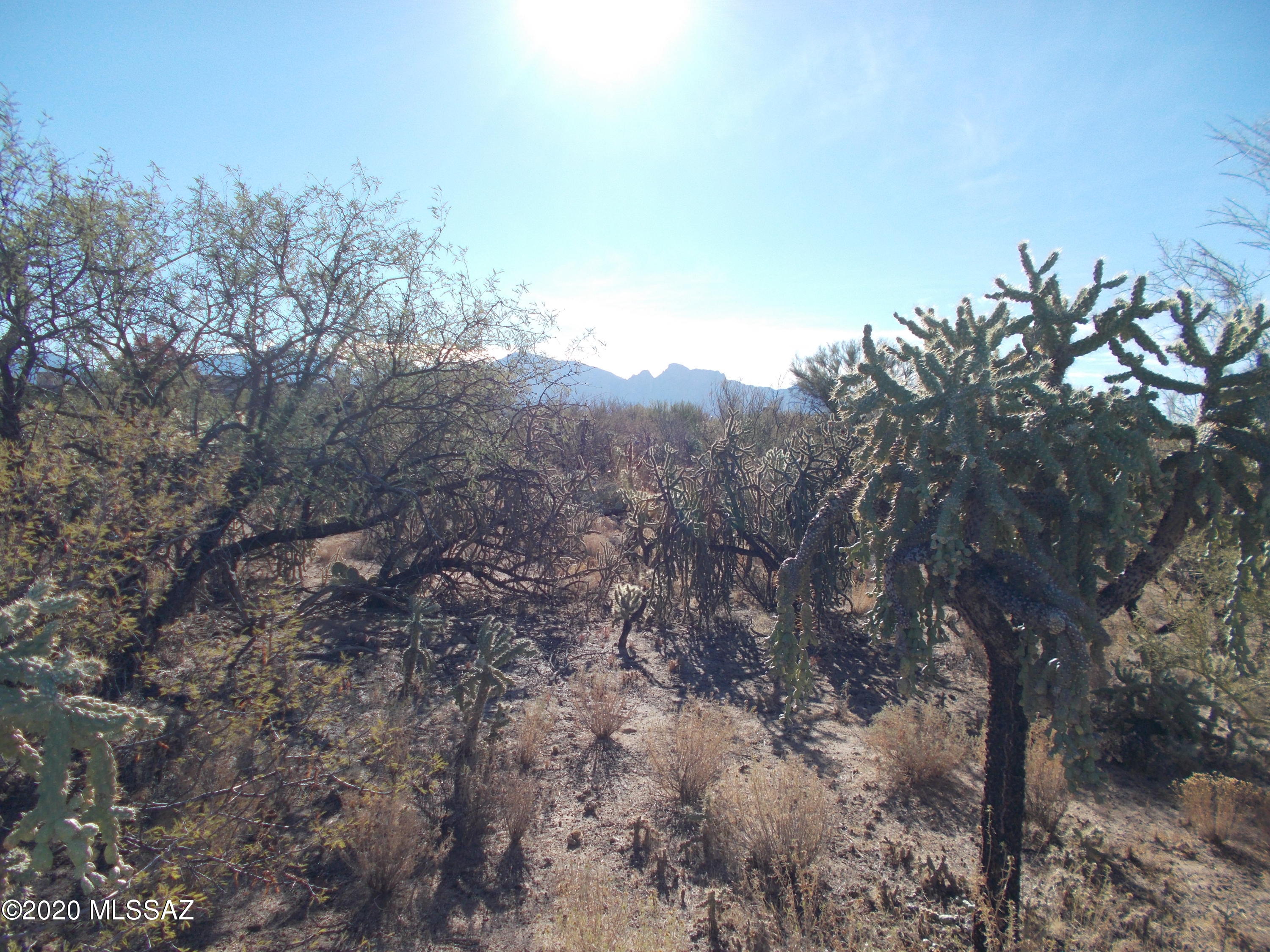 Honey Bee Ridge(The Estates At) - Land