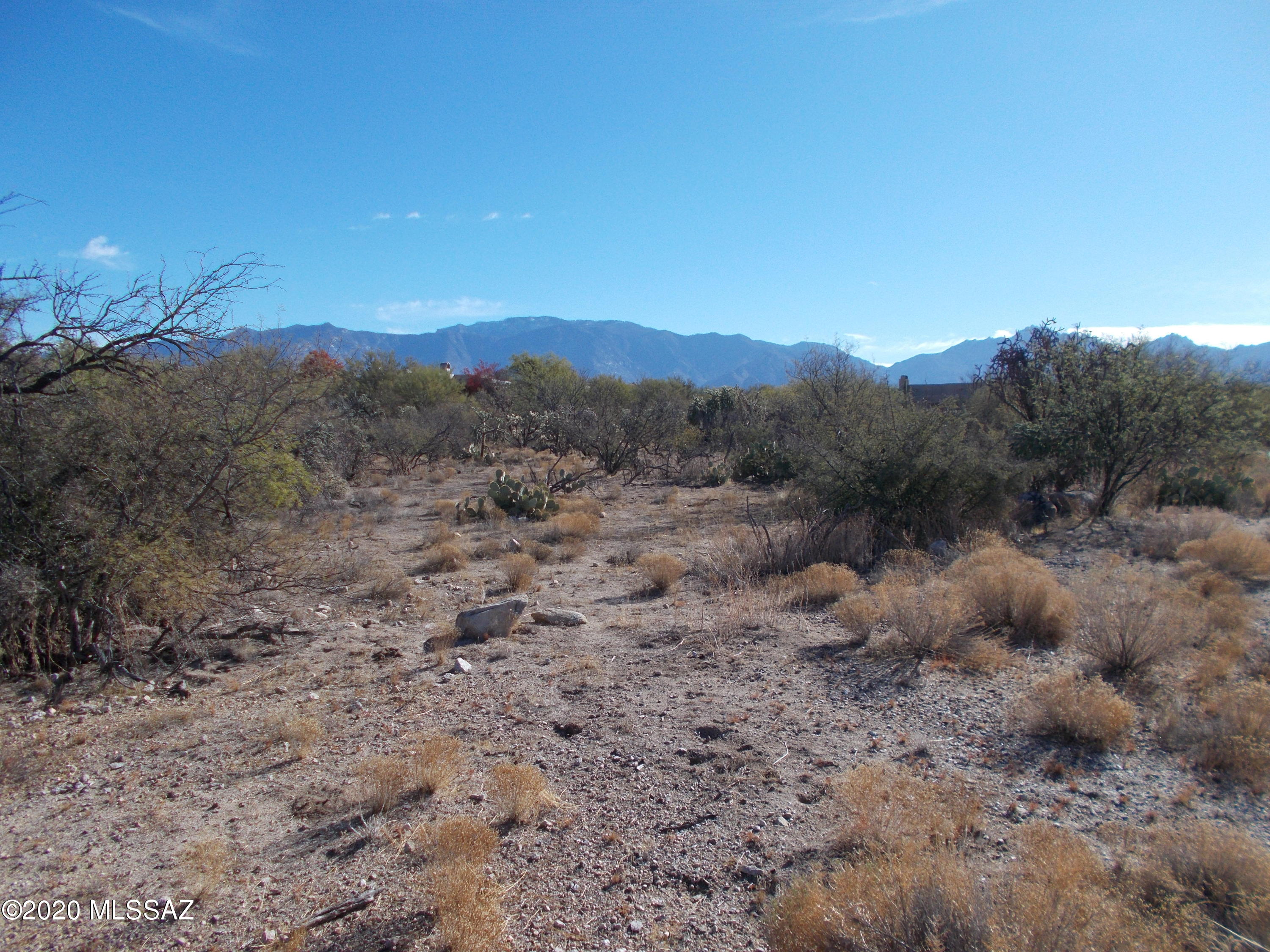 Honey Bee Ridge(The Estates At) - Land