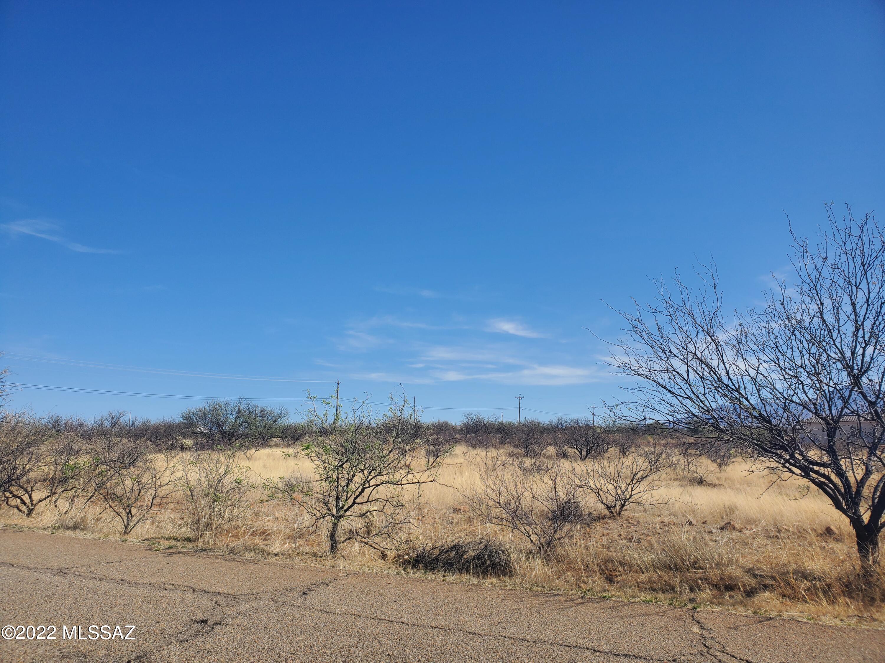 Rio Rico Estates 16 - Land