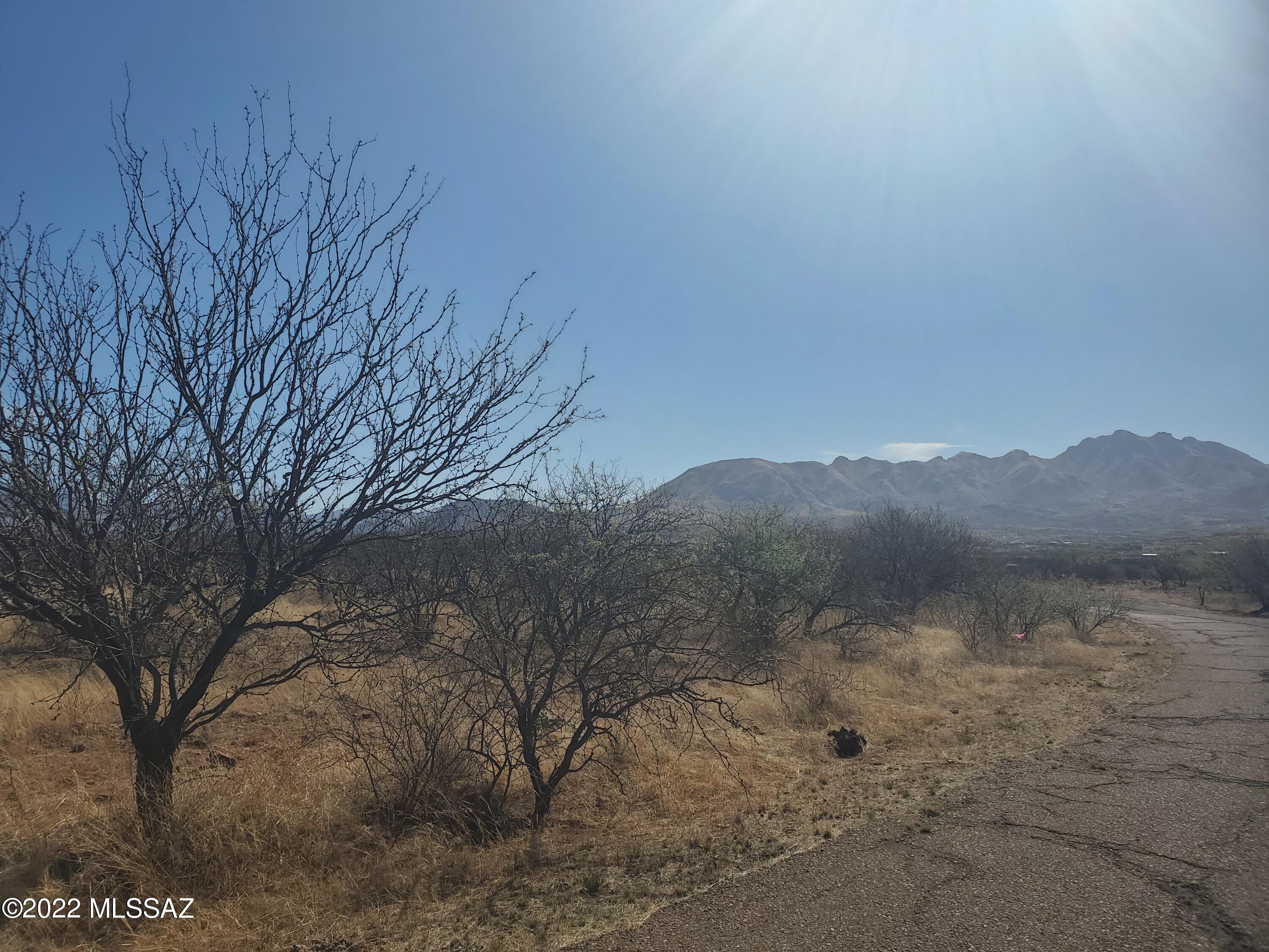 Rio Rico Estates 16 - Land