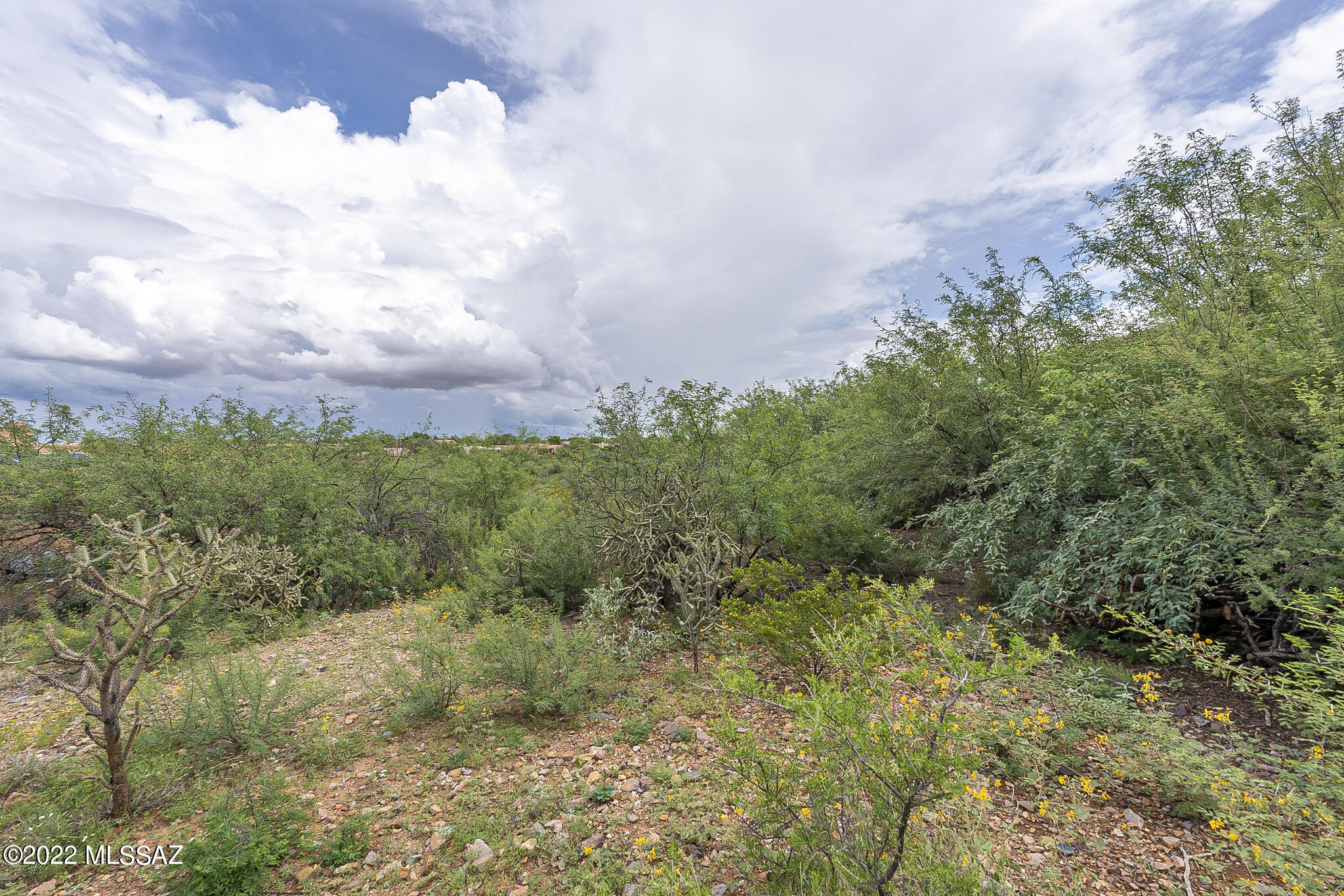 Madera Reserve Phase I(1-130) - Land