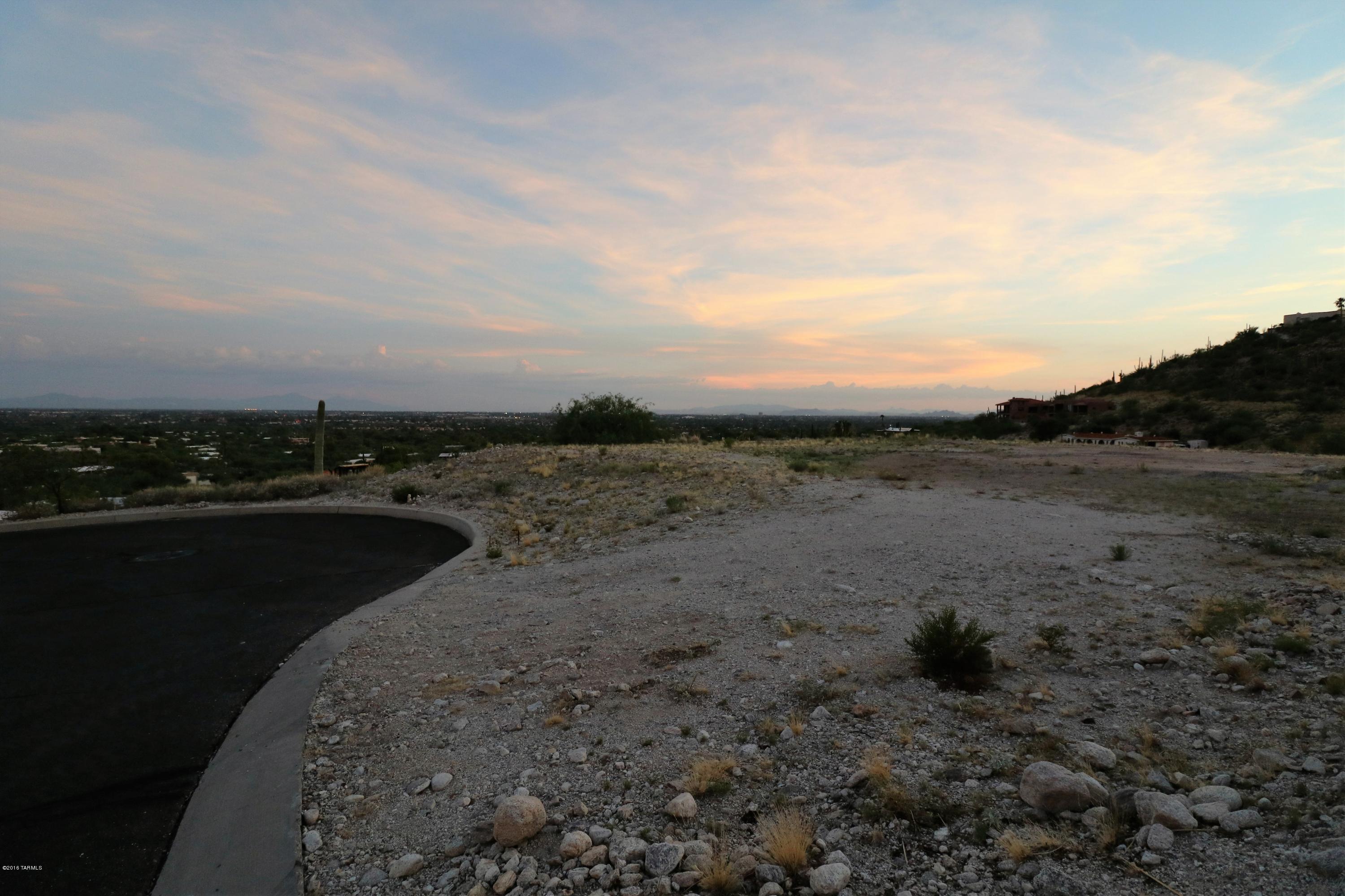Sabino Mountain (1-290) - Land