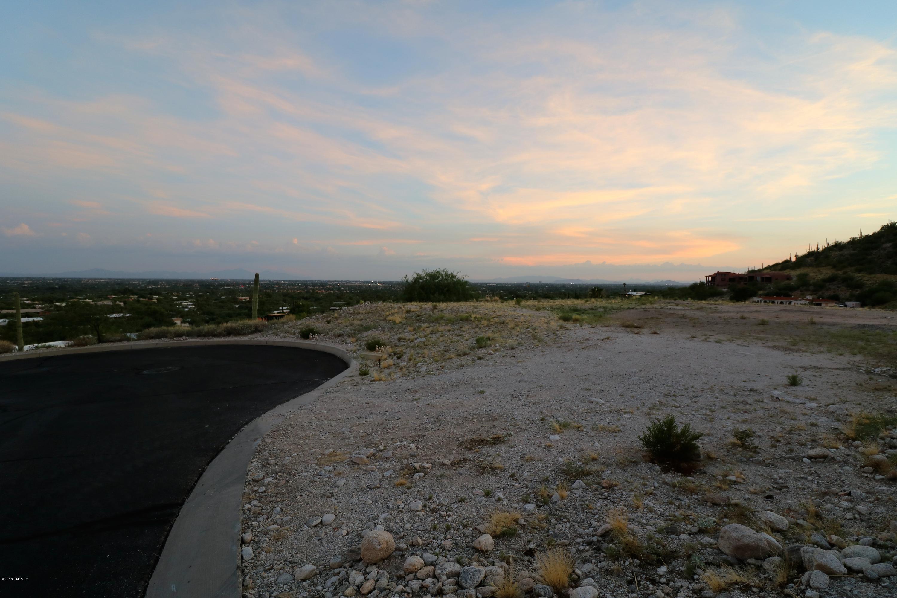 Sabino Mountain (1-290) - Land