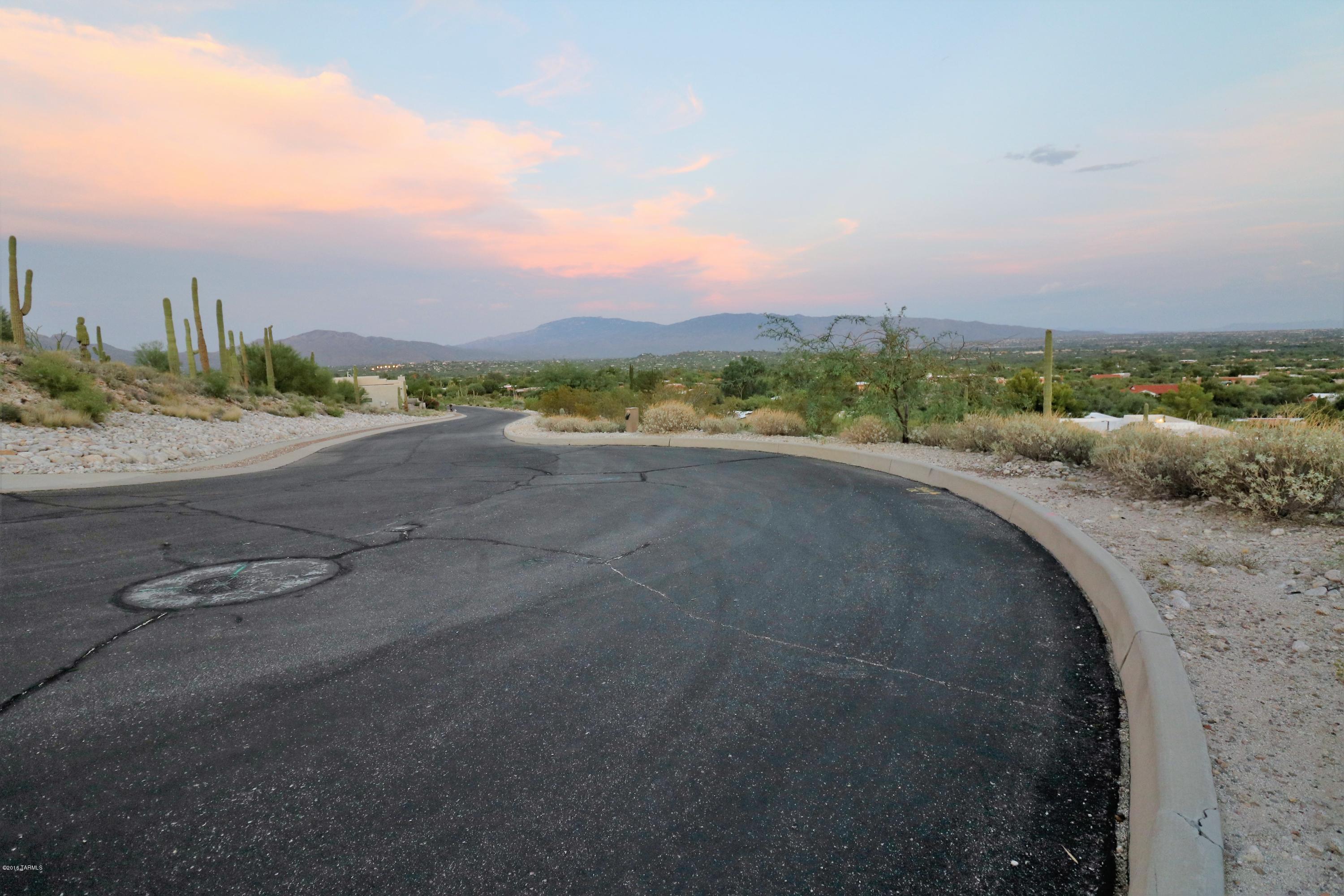 Sabino Mountain (1-290) - Land