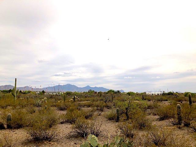 Sycamore Canyon Estates (1-19) - Land