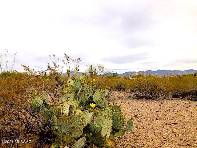 Sycamore Canyon Estates (1-19) - Land