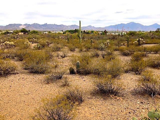 Sycamore Canyon Estates (1-19) - Land