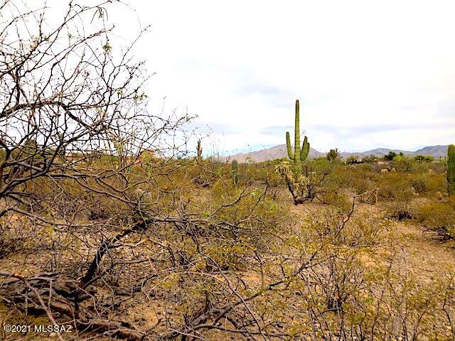 Sycamore Canyon Estates (1-19) - Land