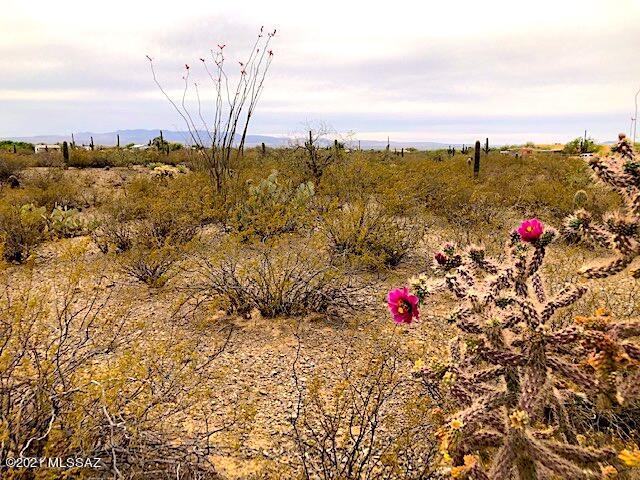 Sycamore Canyon Estates (1-19) - Land