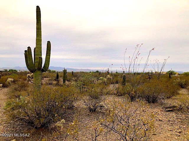 Sycamore Canyon Estates (1-19) - Land