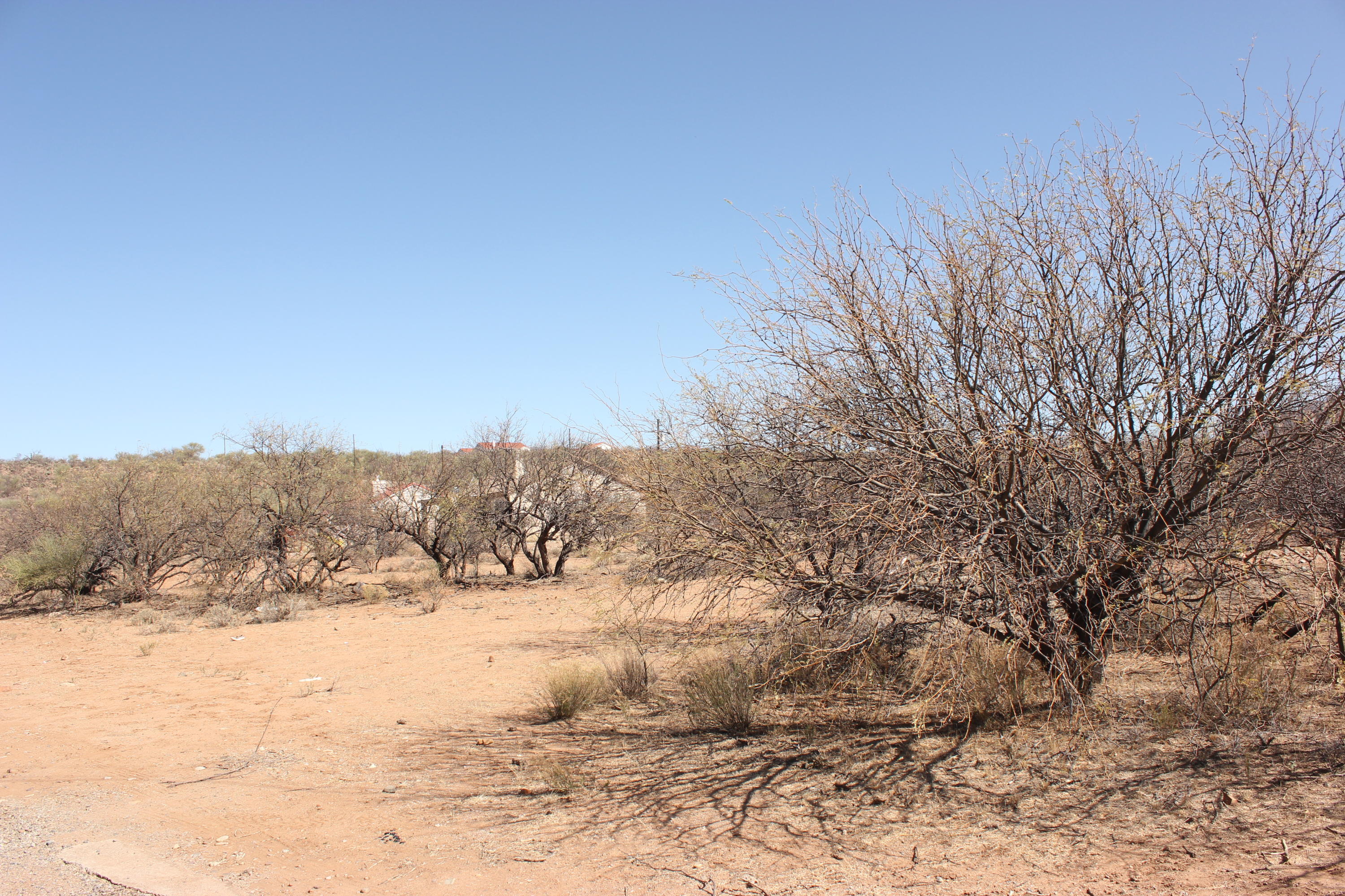 Rio Rico Villas 12 - Land