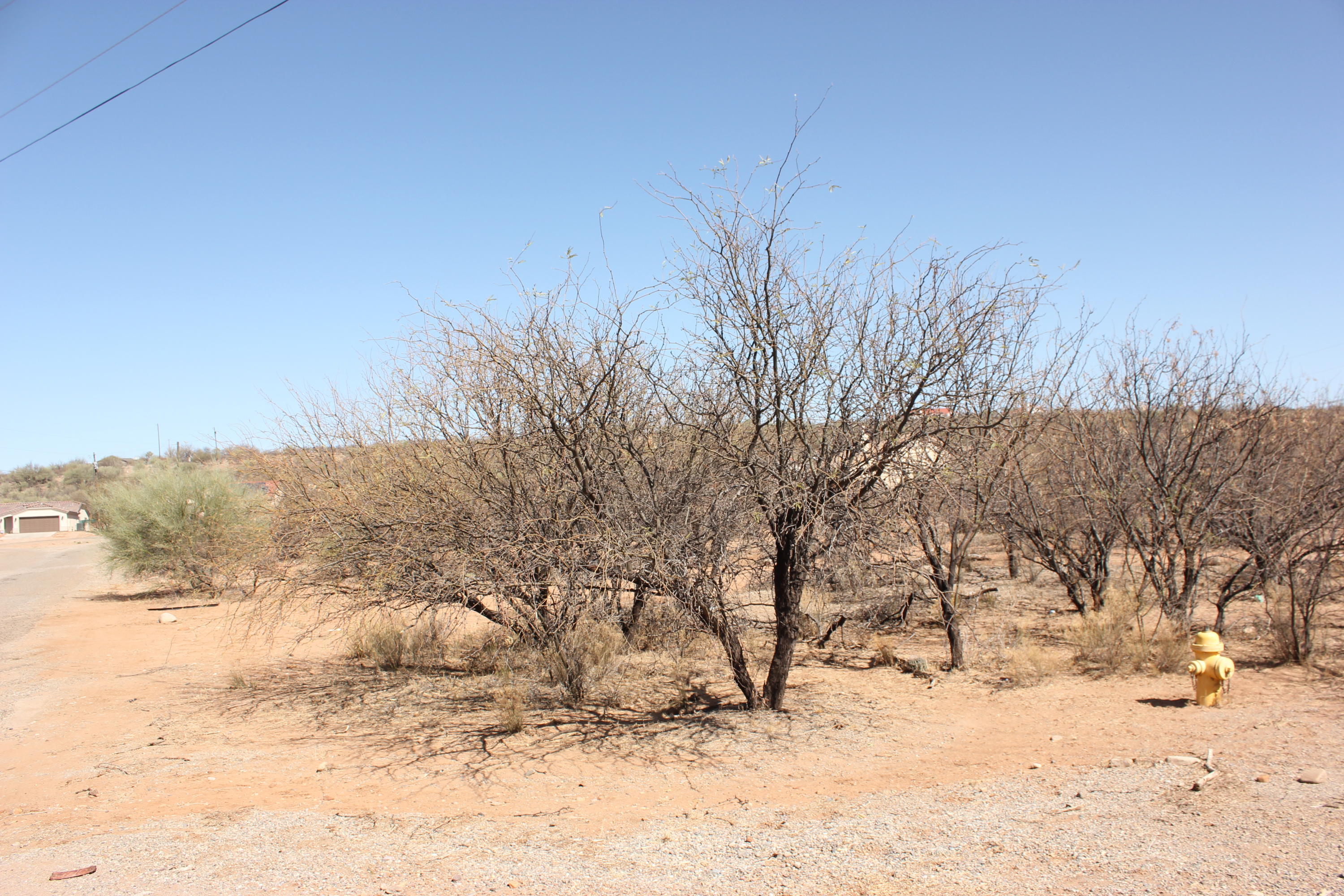 Nice residential lot, flat and easy to build on.  Paved roads, Electric, water and sewer at the street.