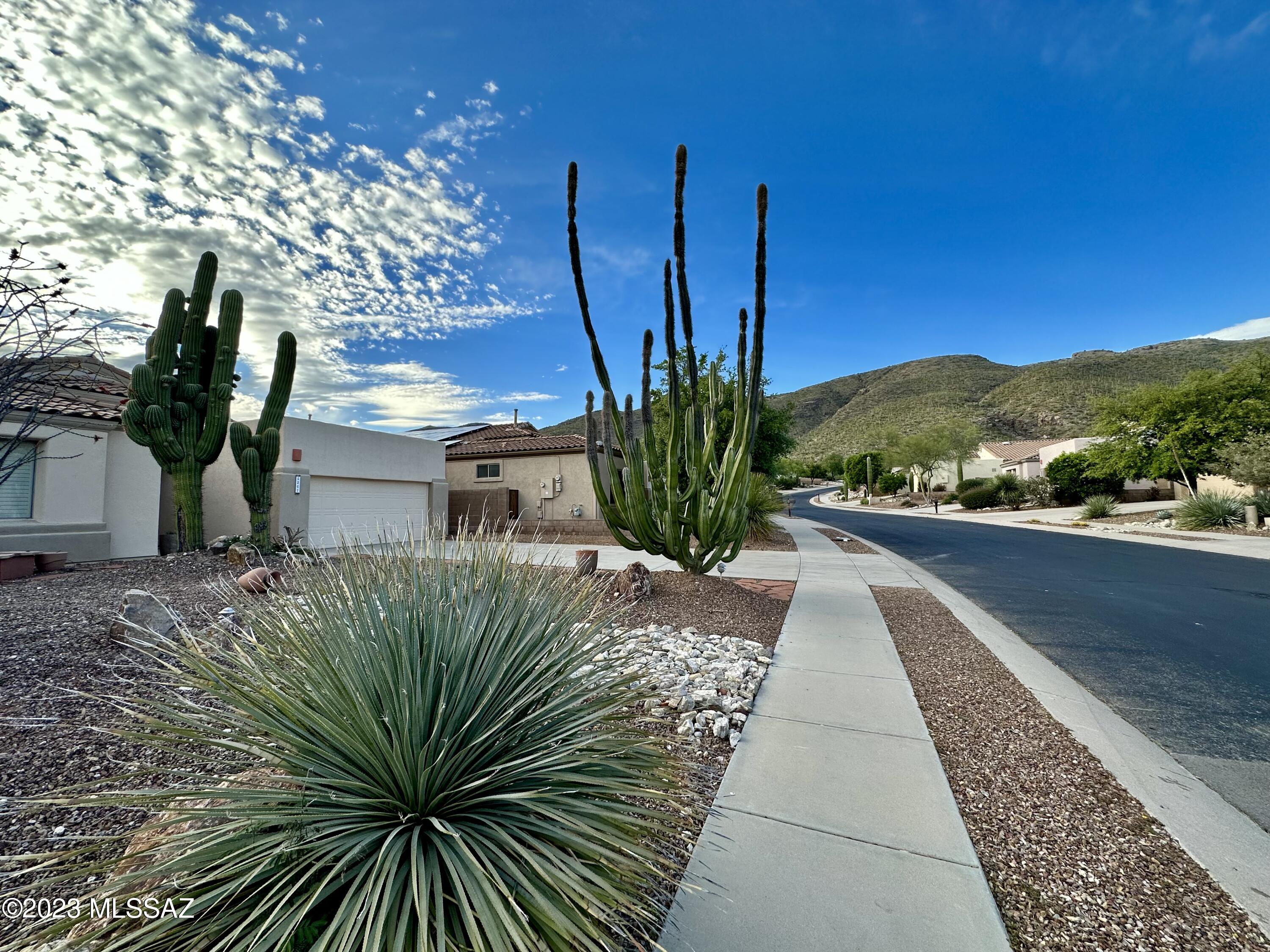 Sabino Heights II at Sabino Springs (1-32) - Residential